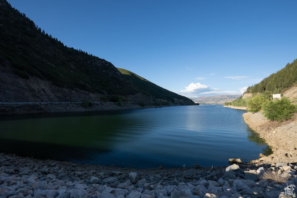 THE WOLF LODGE CONDO - Residential