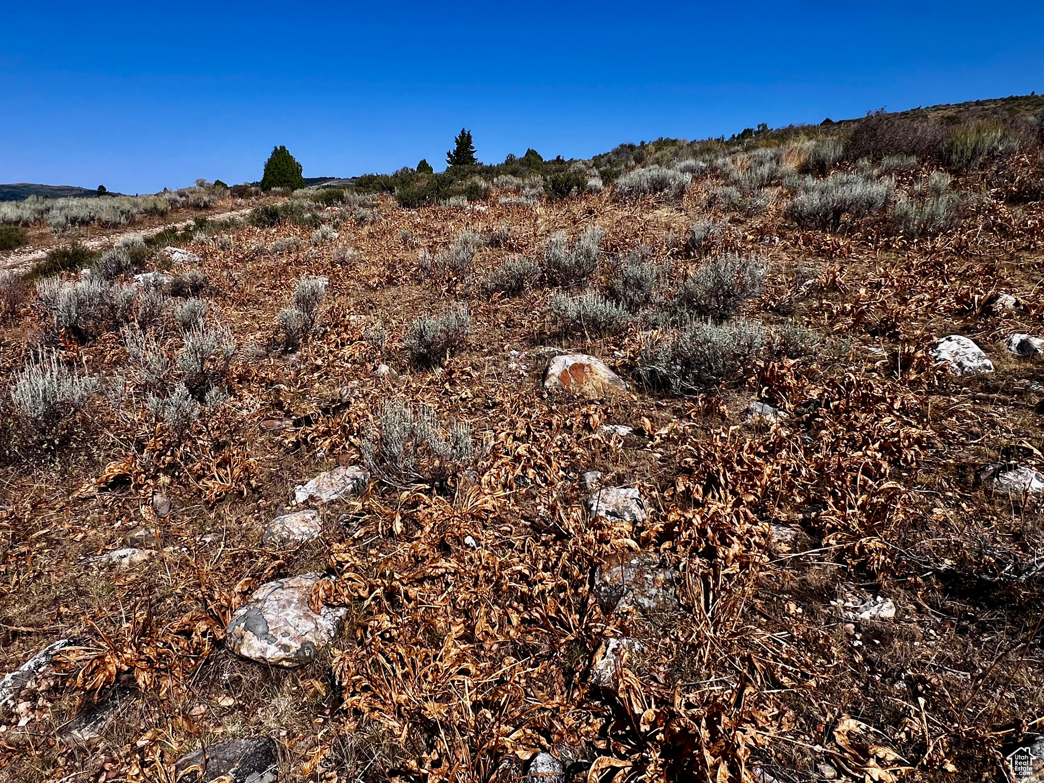 PEBBLE CREEK SUBDIVISION - Land