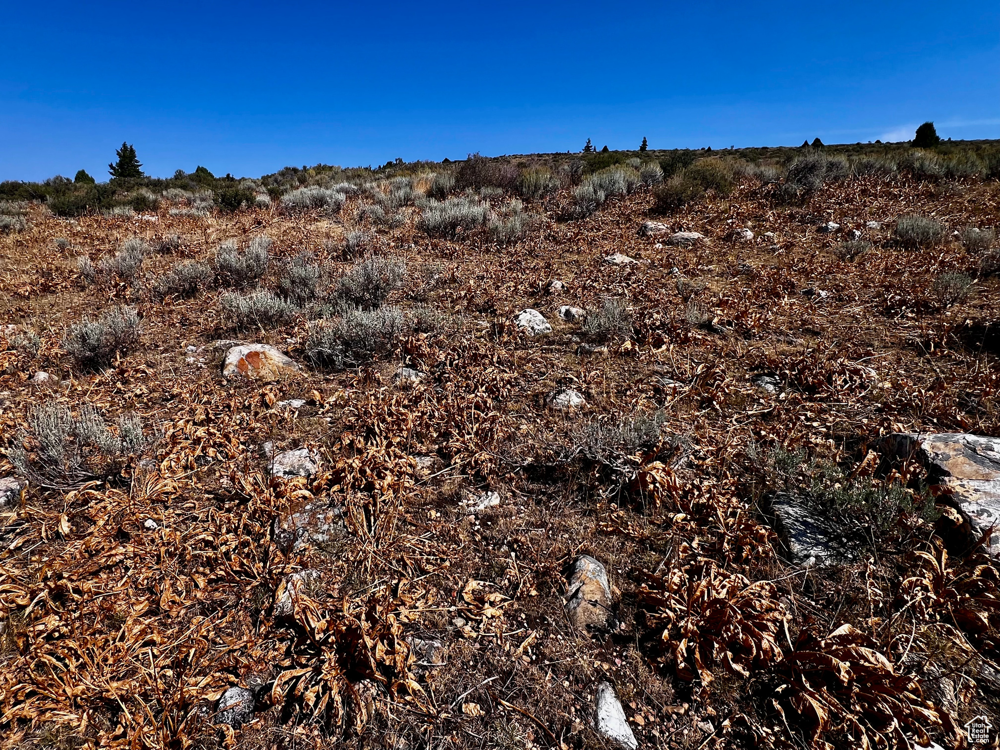 PEBBLE CREEK SUBDIVISION - Land