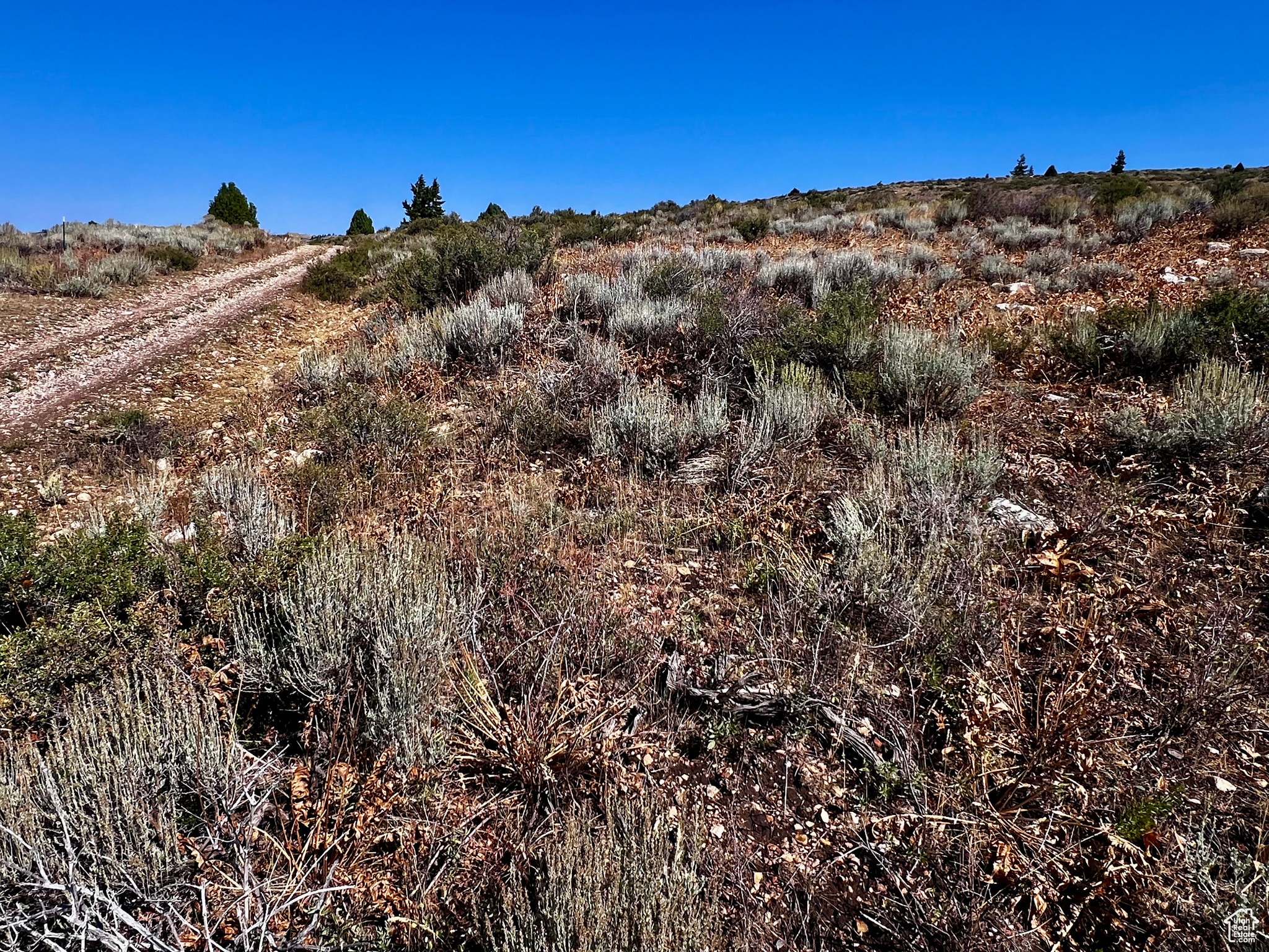 PEBBLE CREEK SUBDIVISION - Land