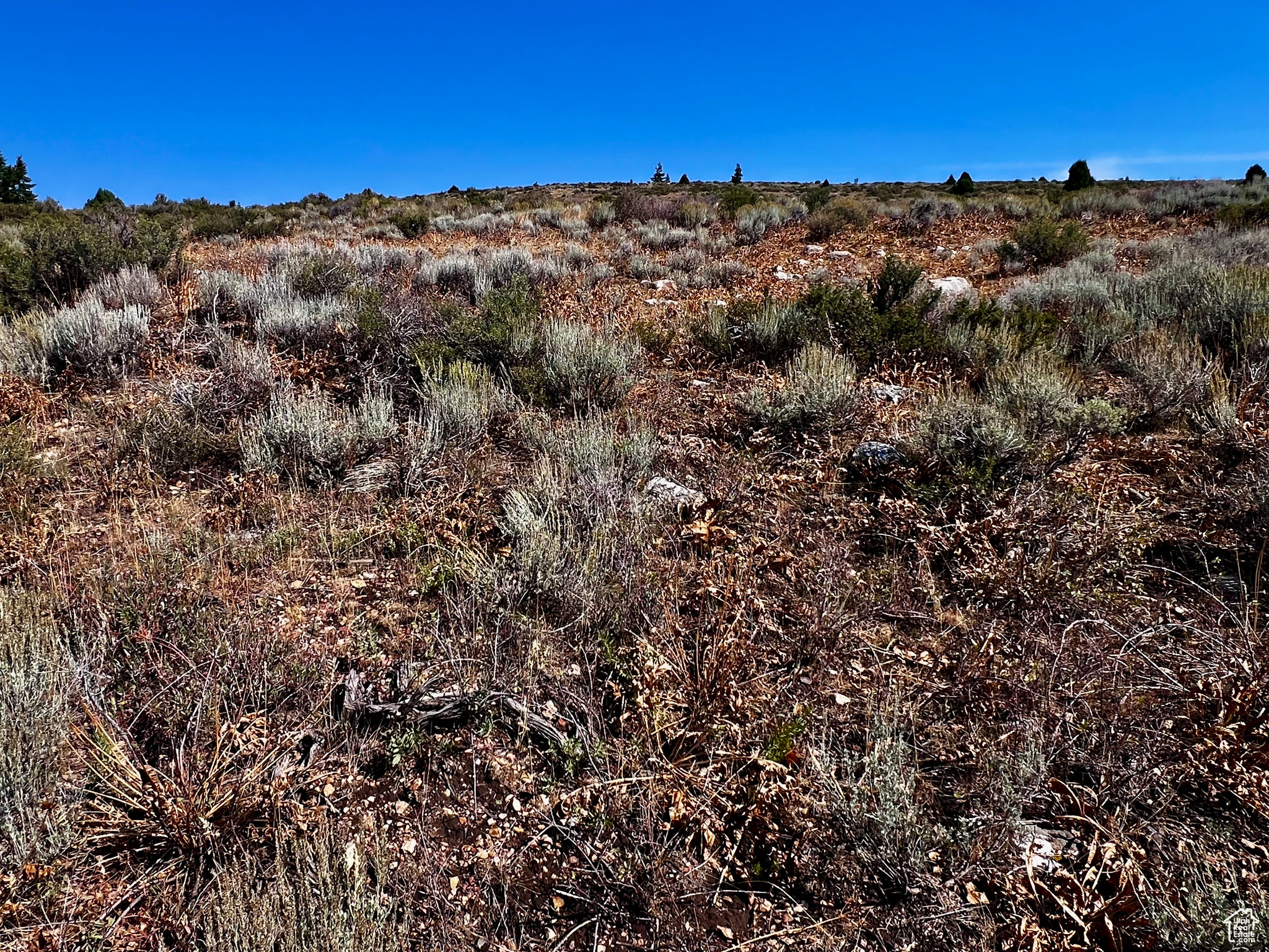 PEBBLE CREEK SUBDIVISION - Land