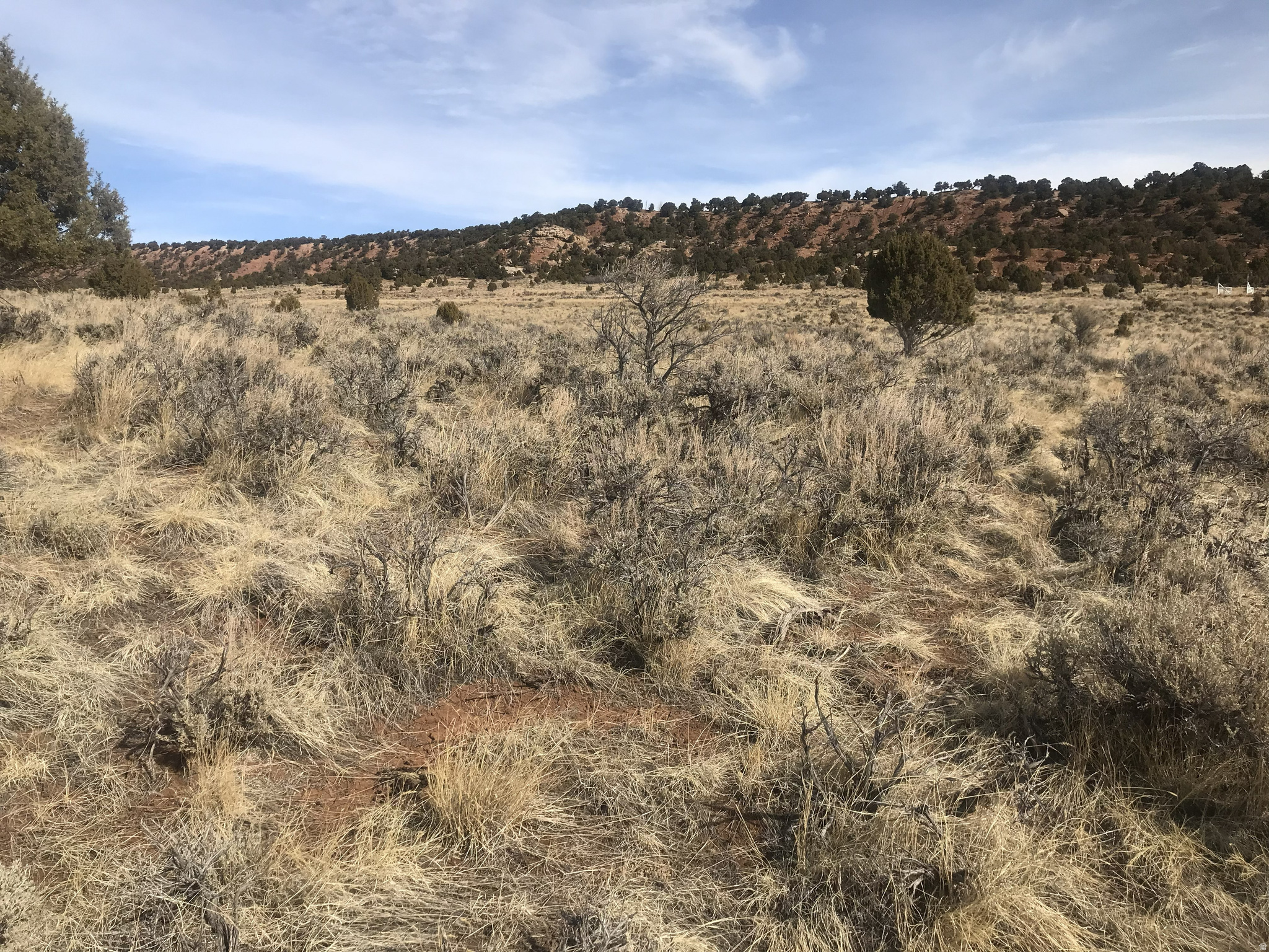 THUNDER RIDGE APK - Land