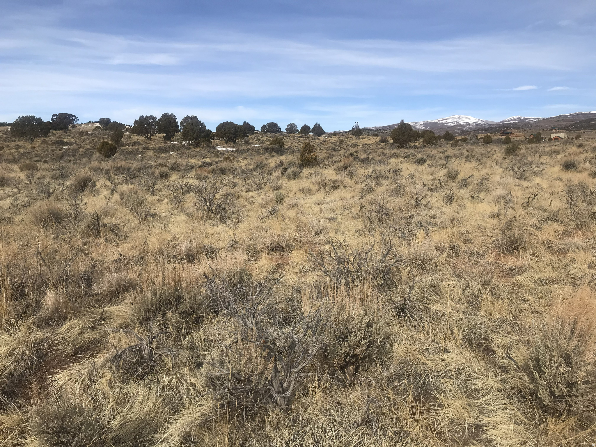 THUNDER RIDGE APK - Land