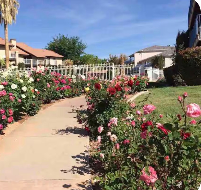 SPORTS VILLAGE - Residential