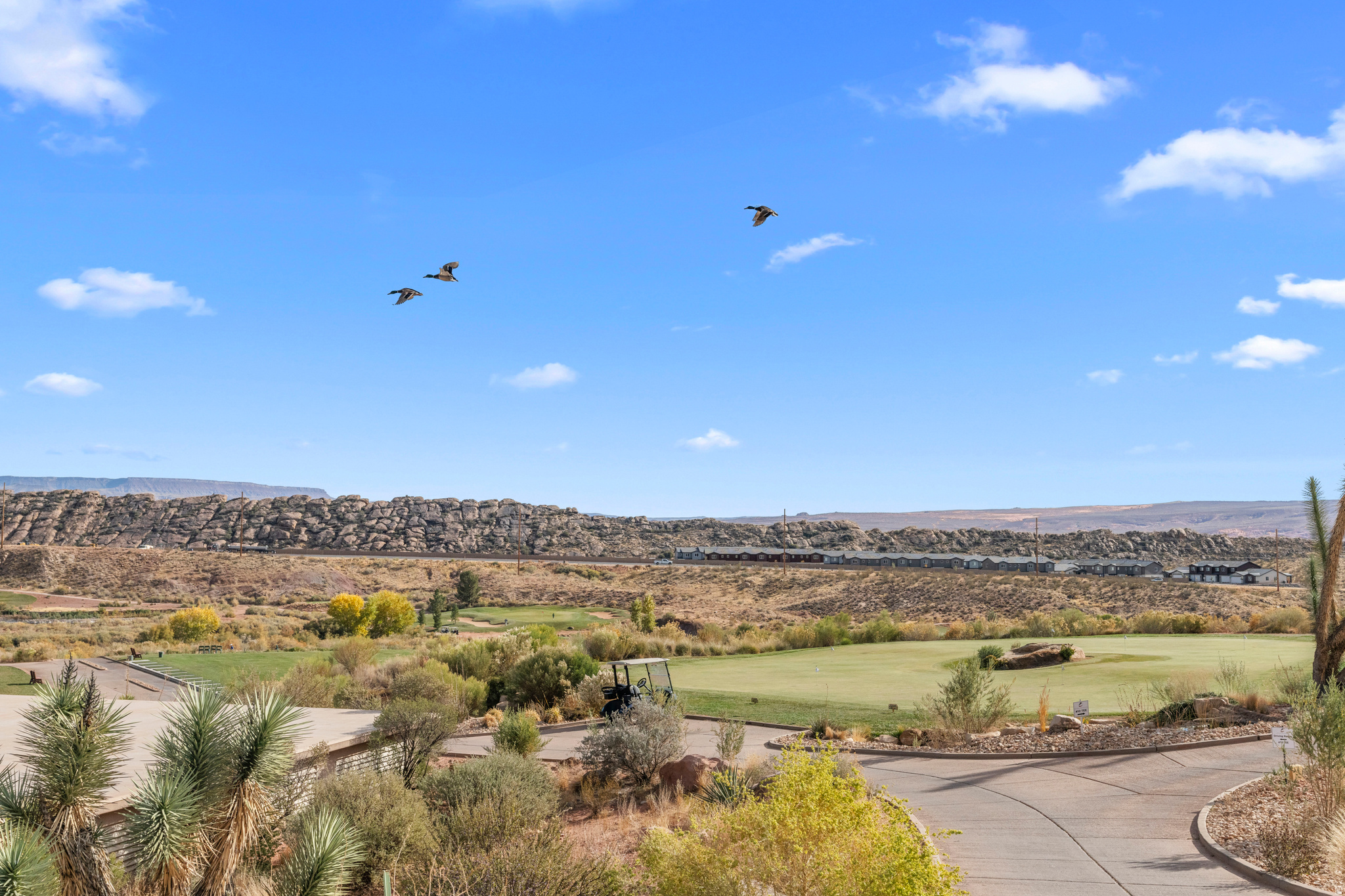 EIGHTH AT CORAL CANYON AMD - Residential
