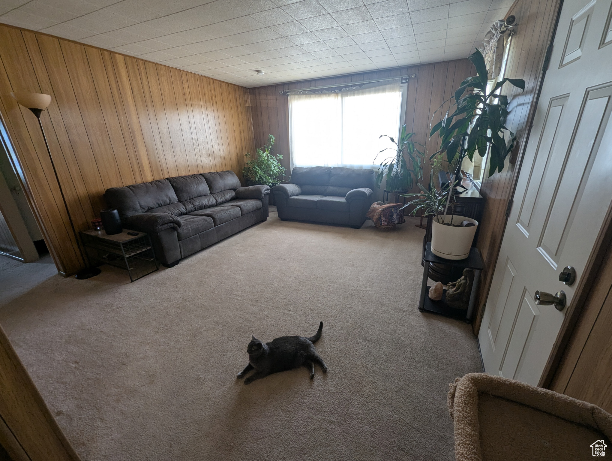 134 Grassy Dr, East Carbon, Utah image 3