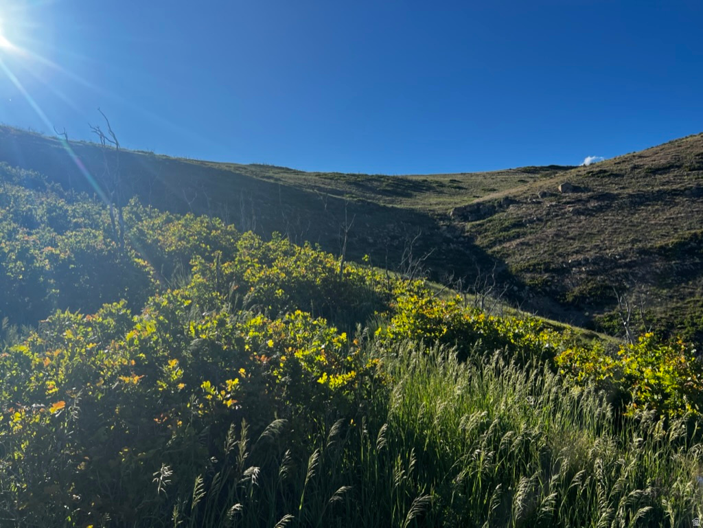 45 KENT CANYON RD 45