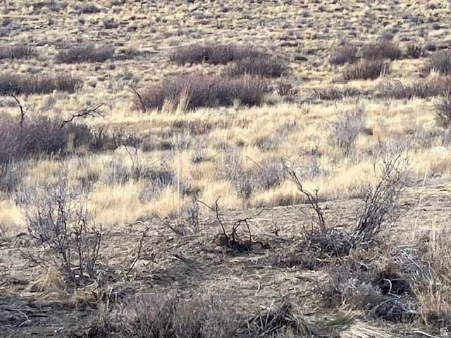 ROCKPORT RANCHES - Land