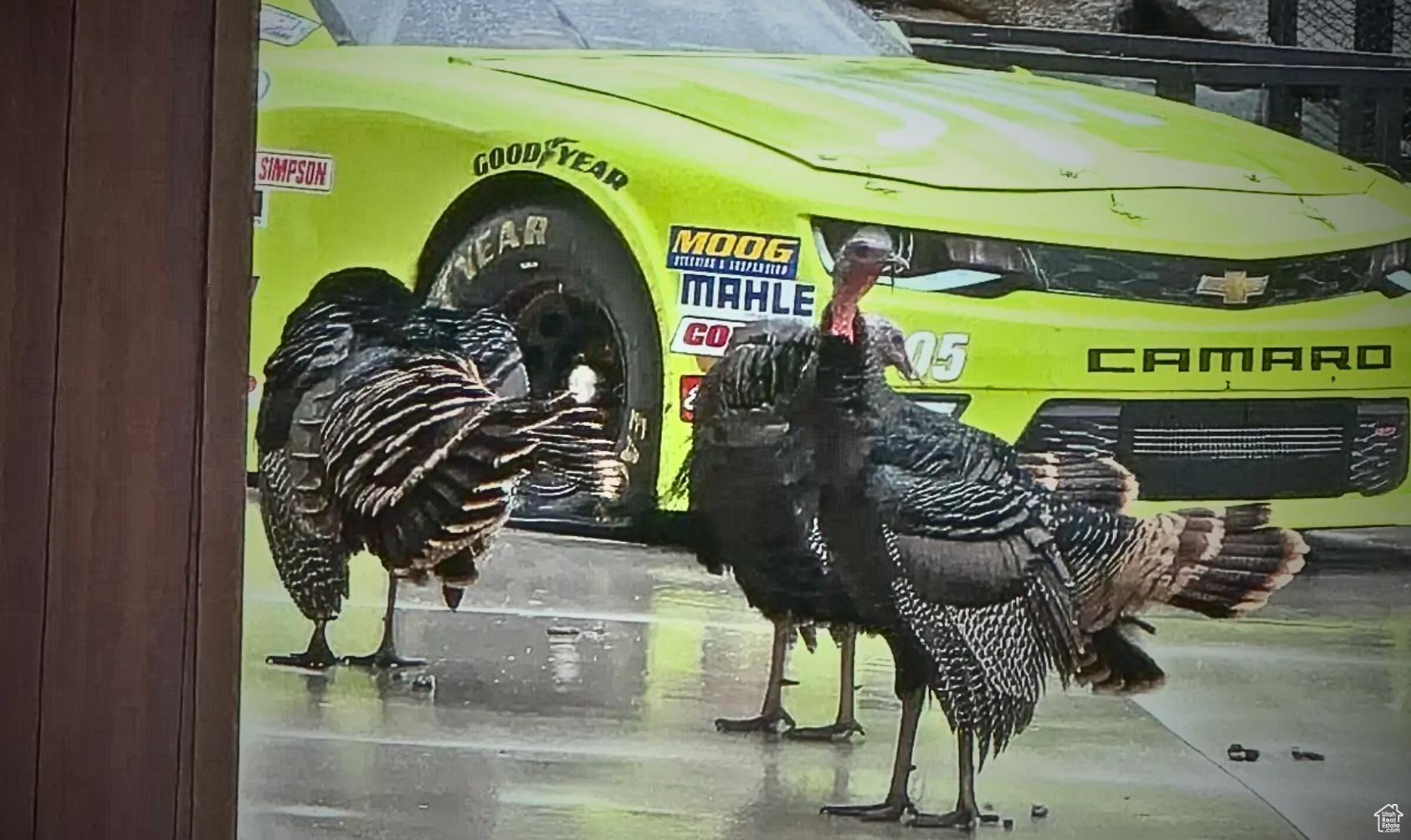 THE PRESERVE AT MAPLETON - Land