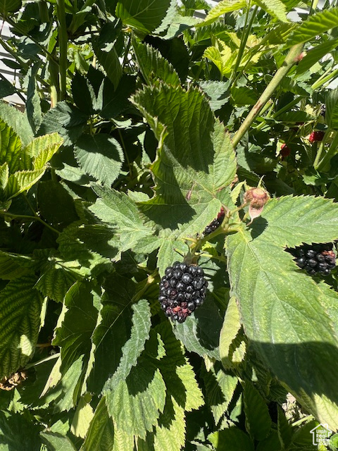 SKY RANCH SUBDIVISION - Residential