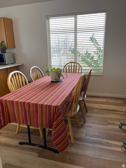 CELEBRATION - Residential