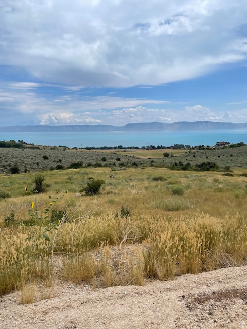 ELK HOLLOW RANCHES - Land