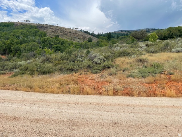 ELK HOLLOW RANCHES - Land