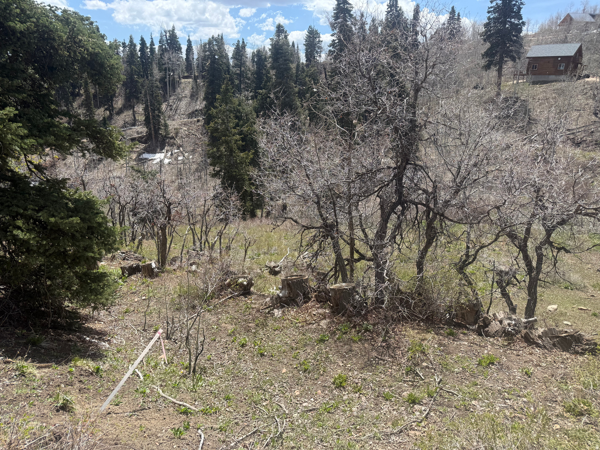 PINE MEADOW RANCH - Land