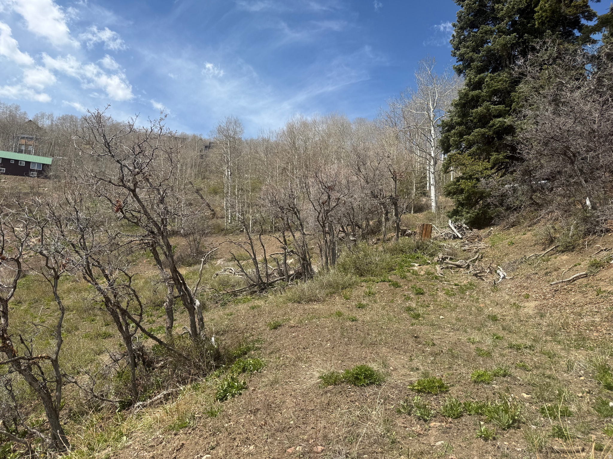 PINE MEADOW RANCH - Land