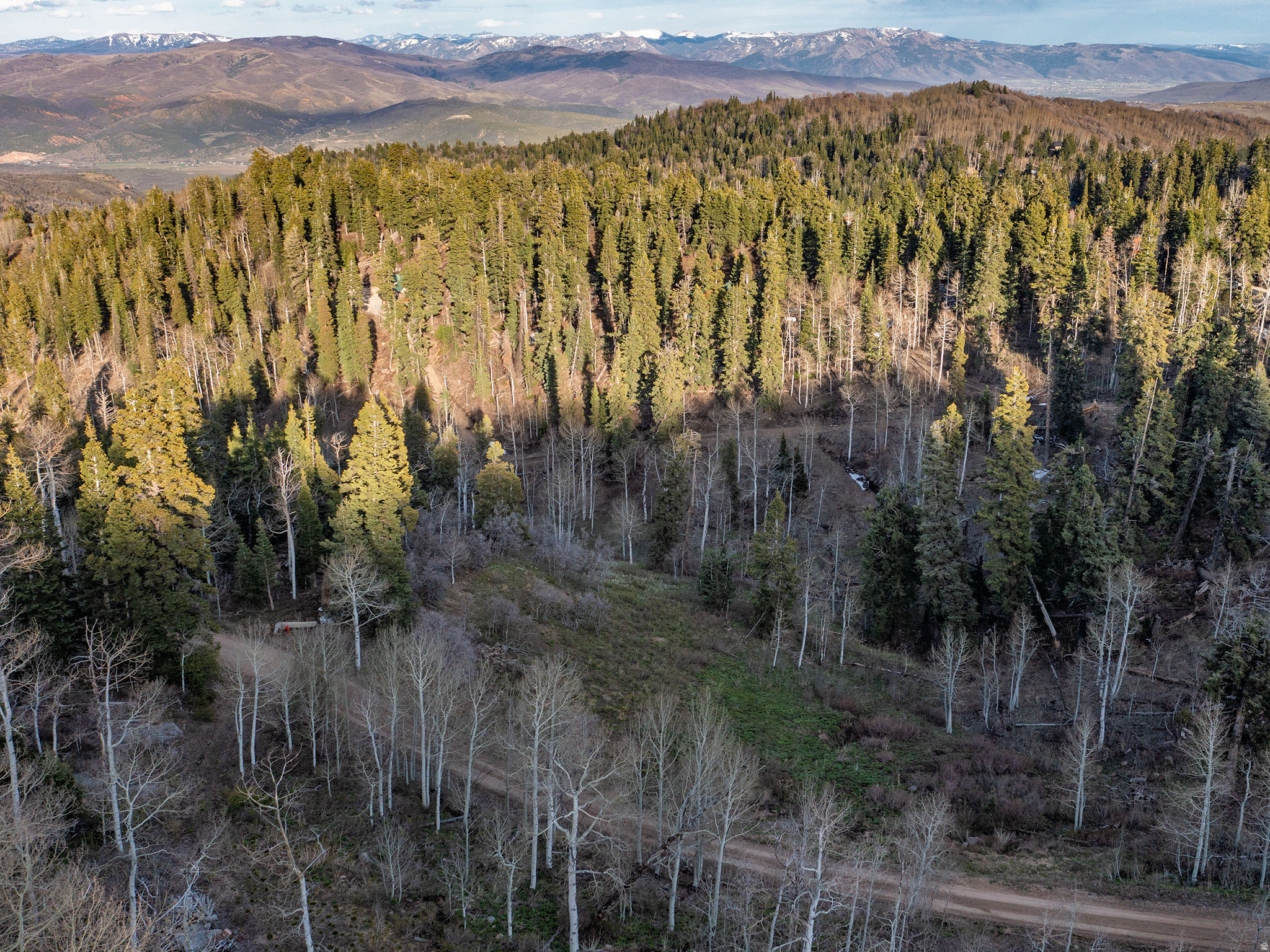 PINE MEADOW RANCH - Land