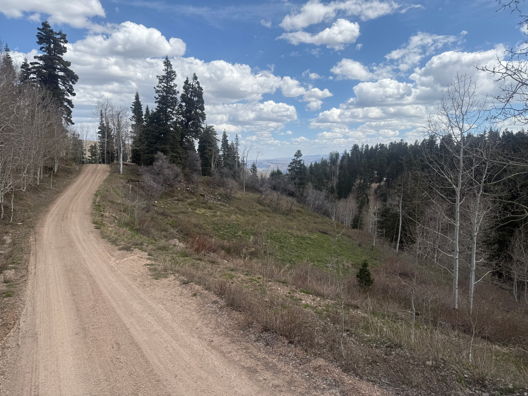 PINE MEADOW RANCH - Land