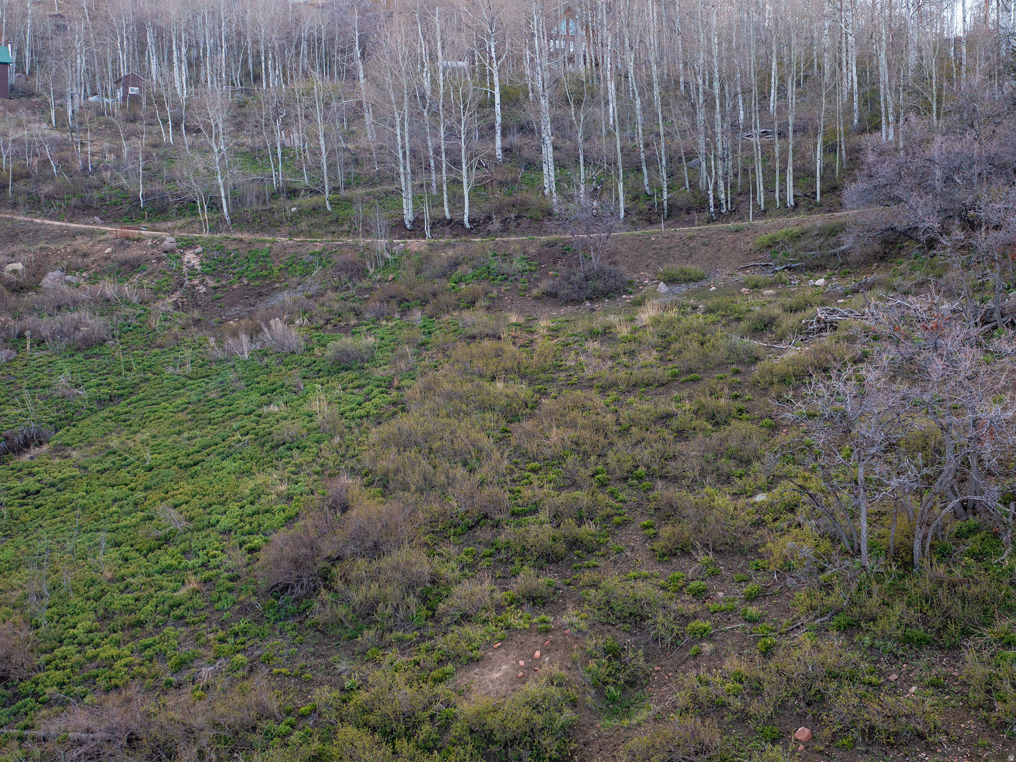 PINE MEADOW RANCH - Land