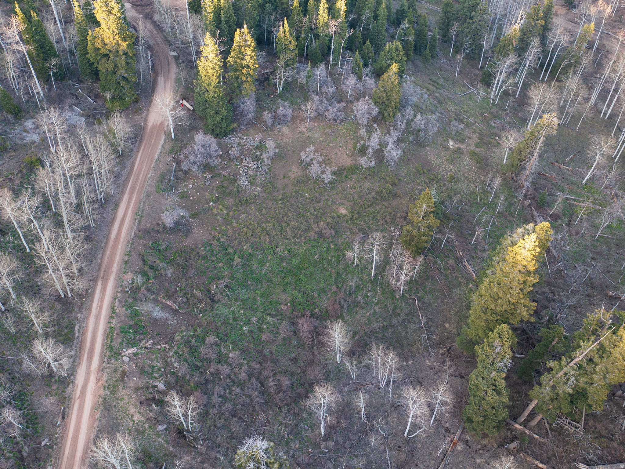 PINE MEADOW RANCH - Land