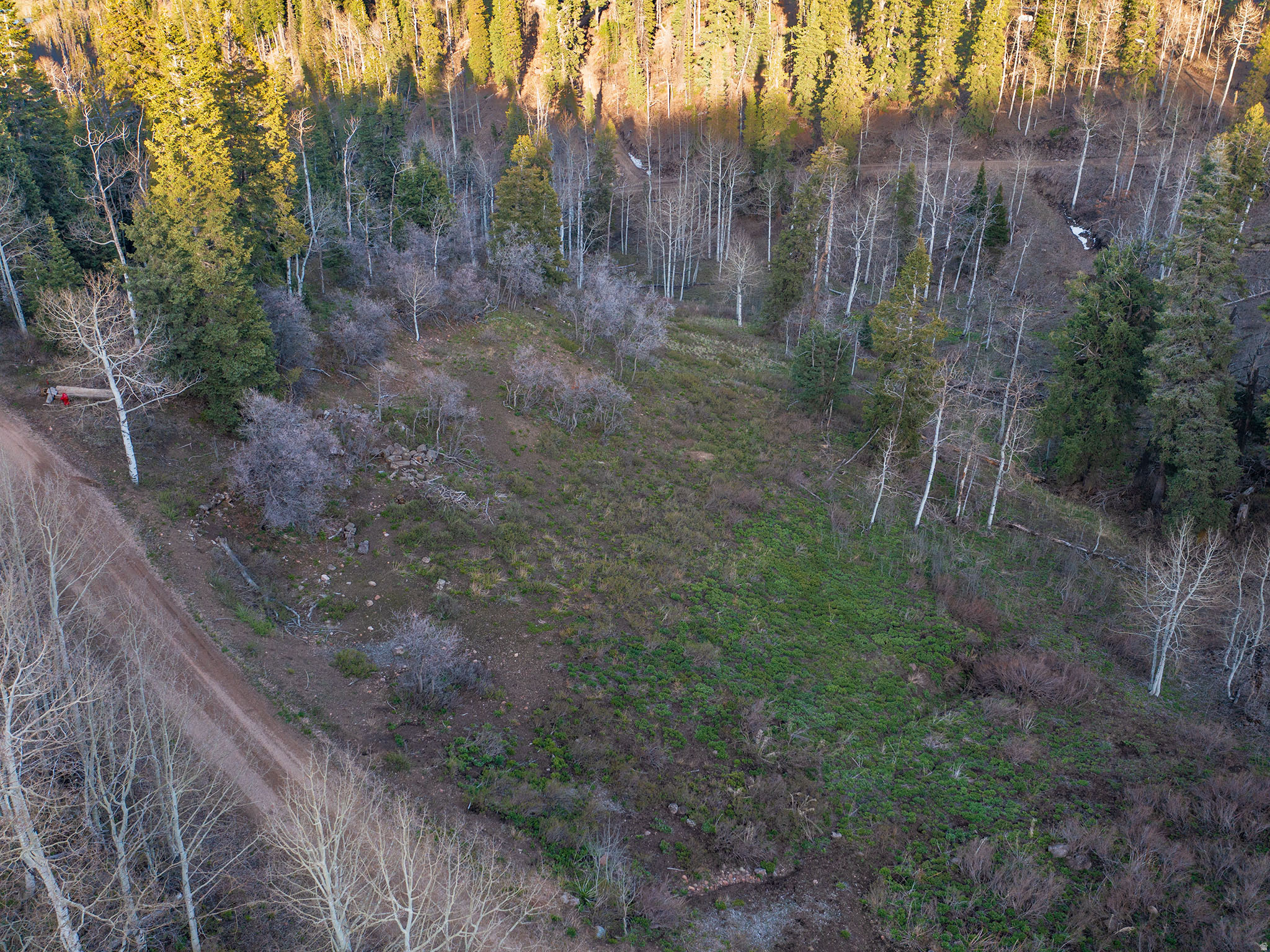 PINE MEADOW RANCH - Land