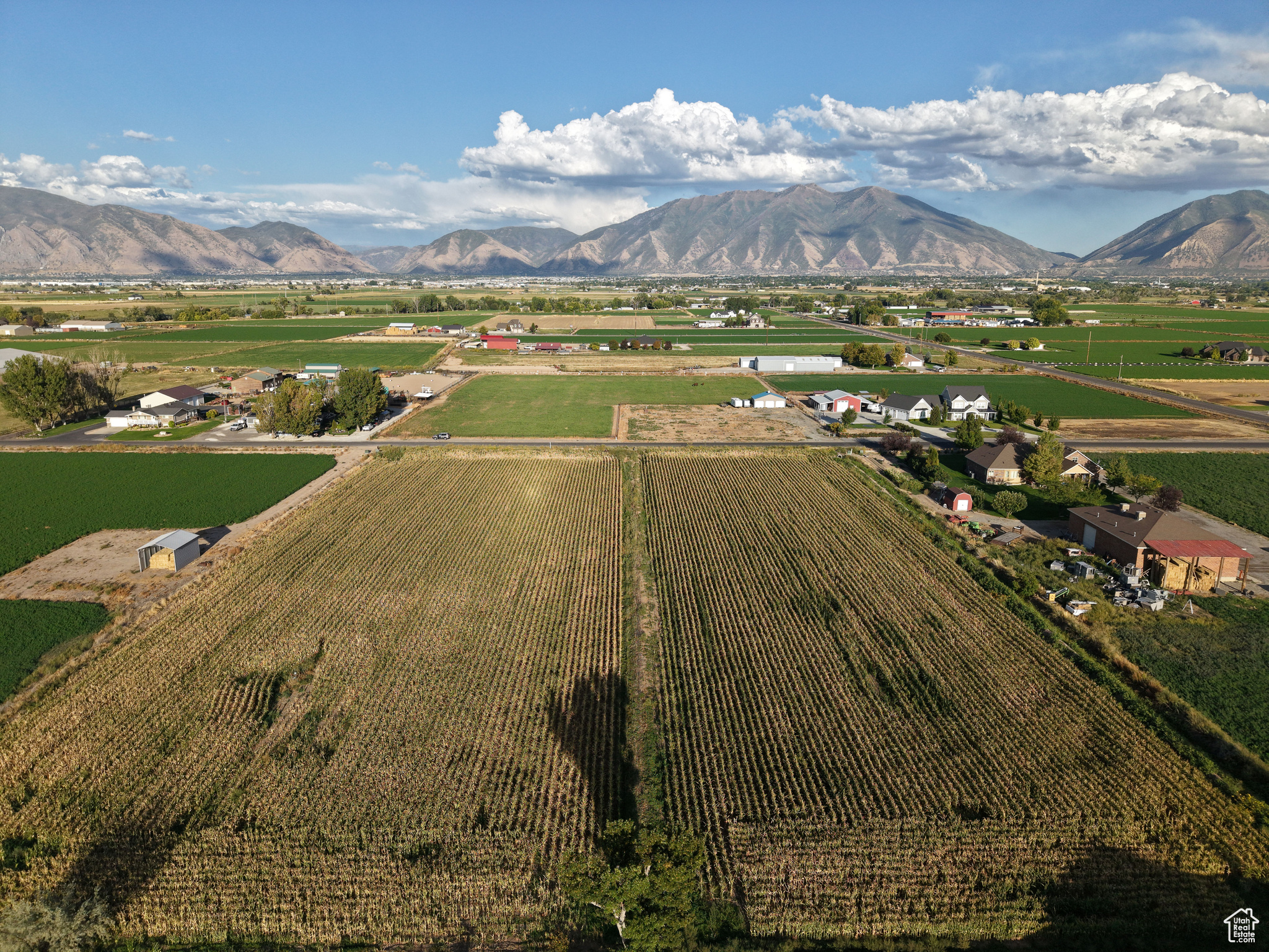 BLAINE EVANS SUBDIVISION - Land