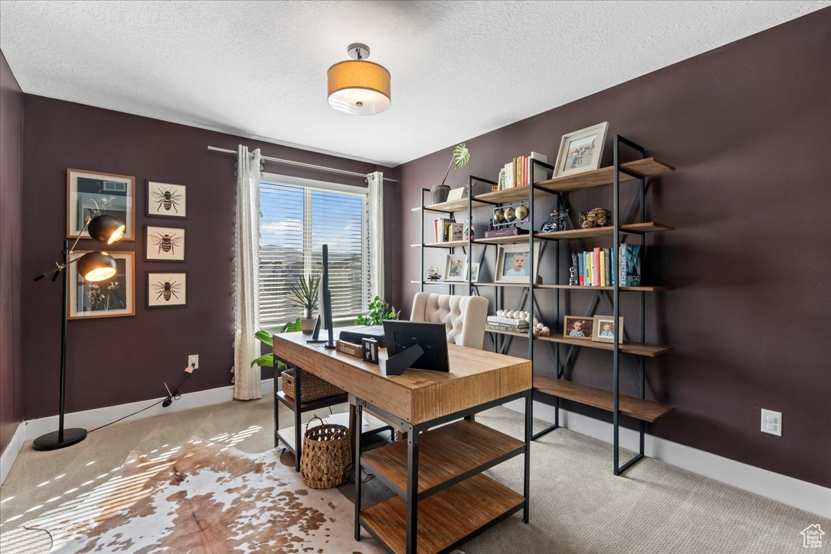 WANDER - Residential