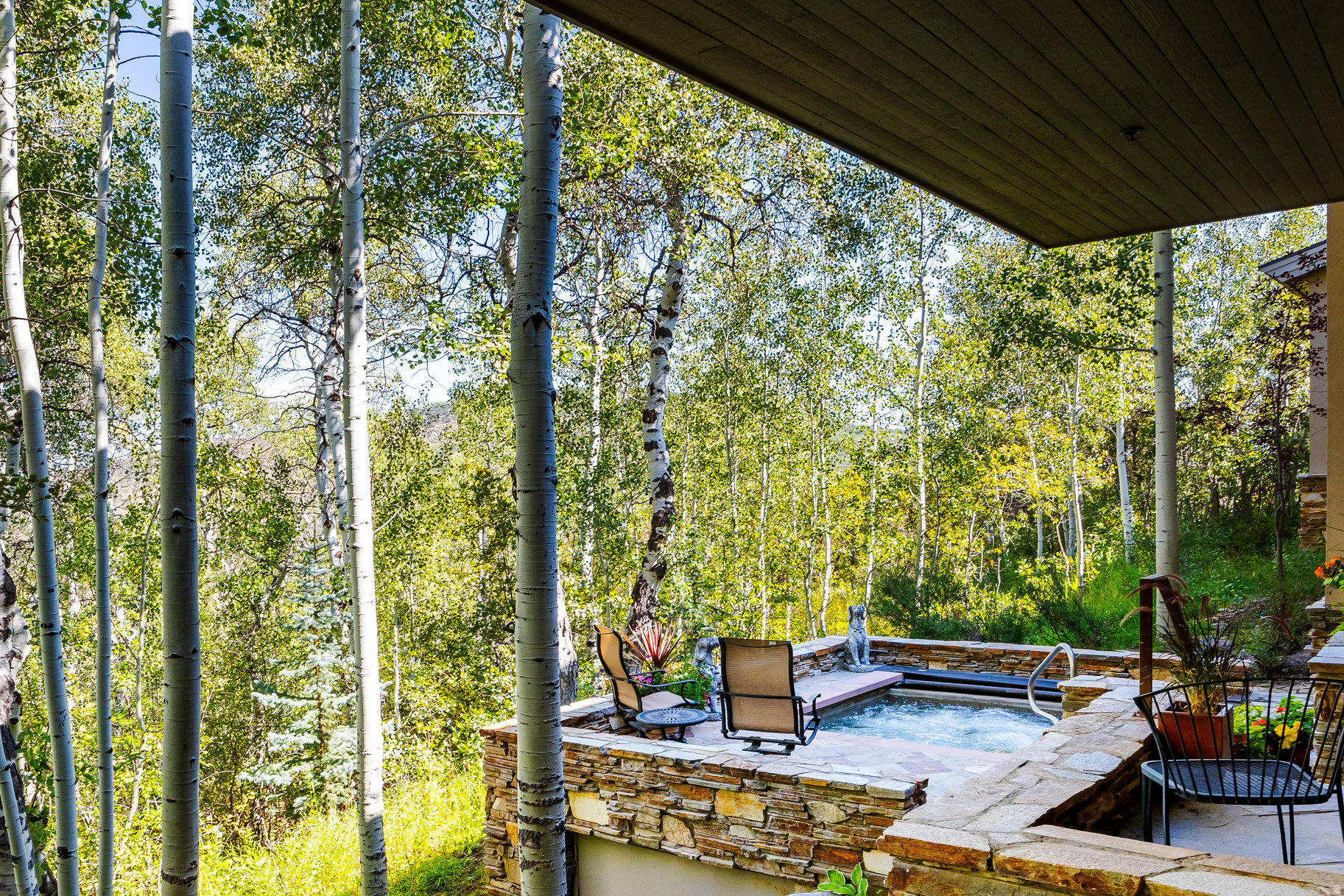 ASPEN SPRINGS RANCH - Residential