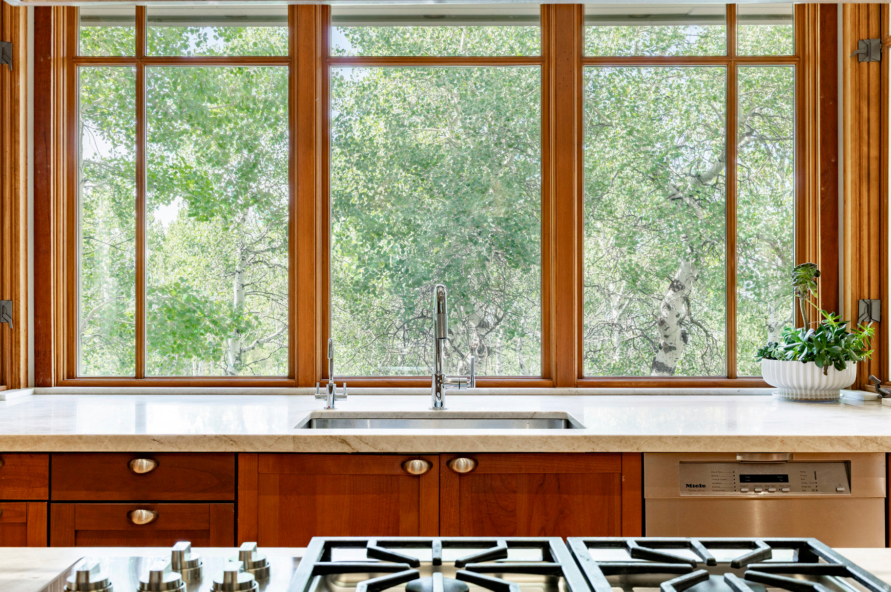 ASPEN SPRINGS RANCH - Residential