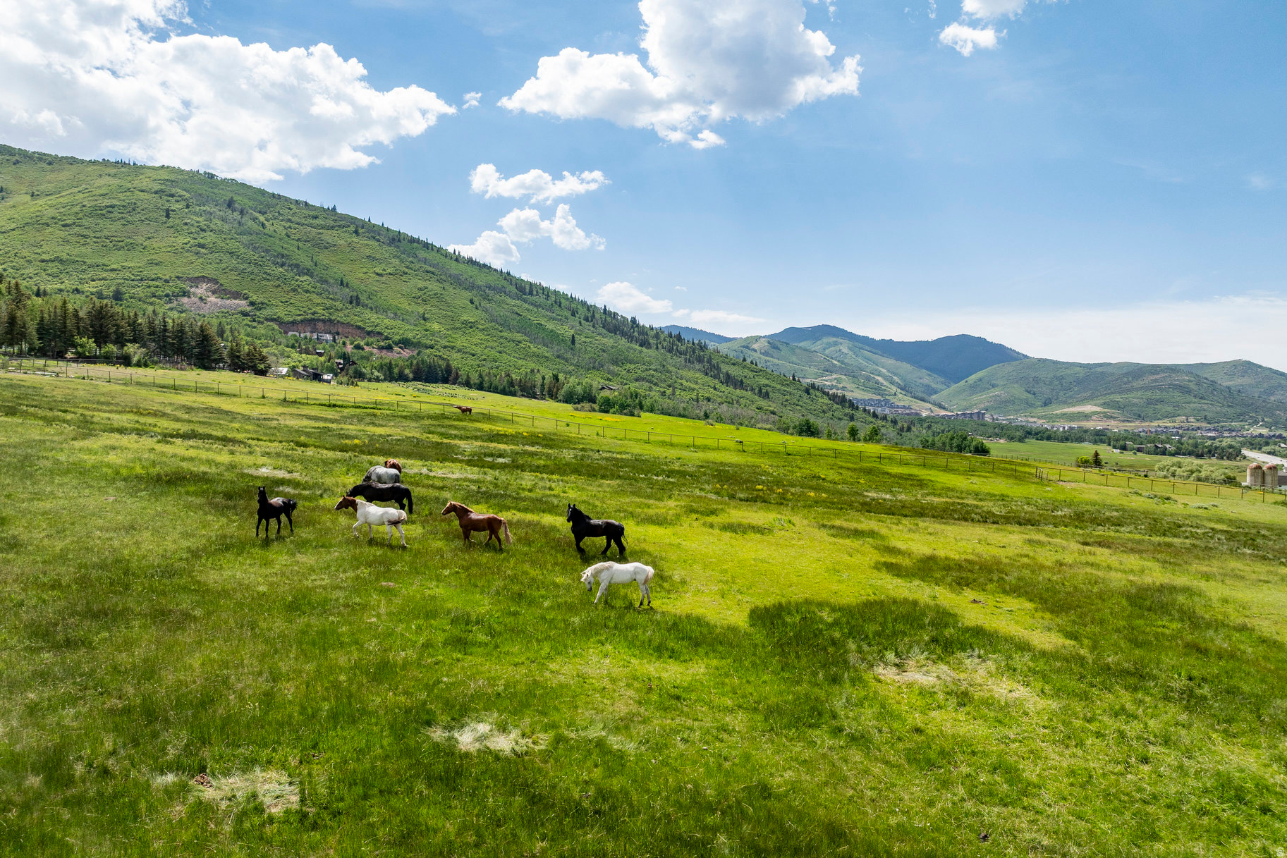 ASPEN SPRINGS RANCH - Residential