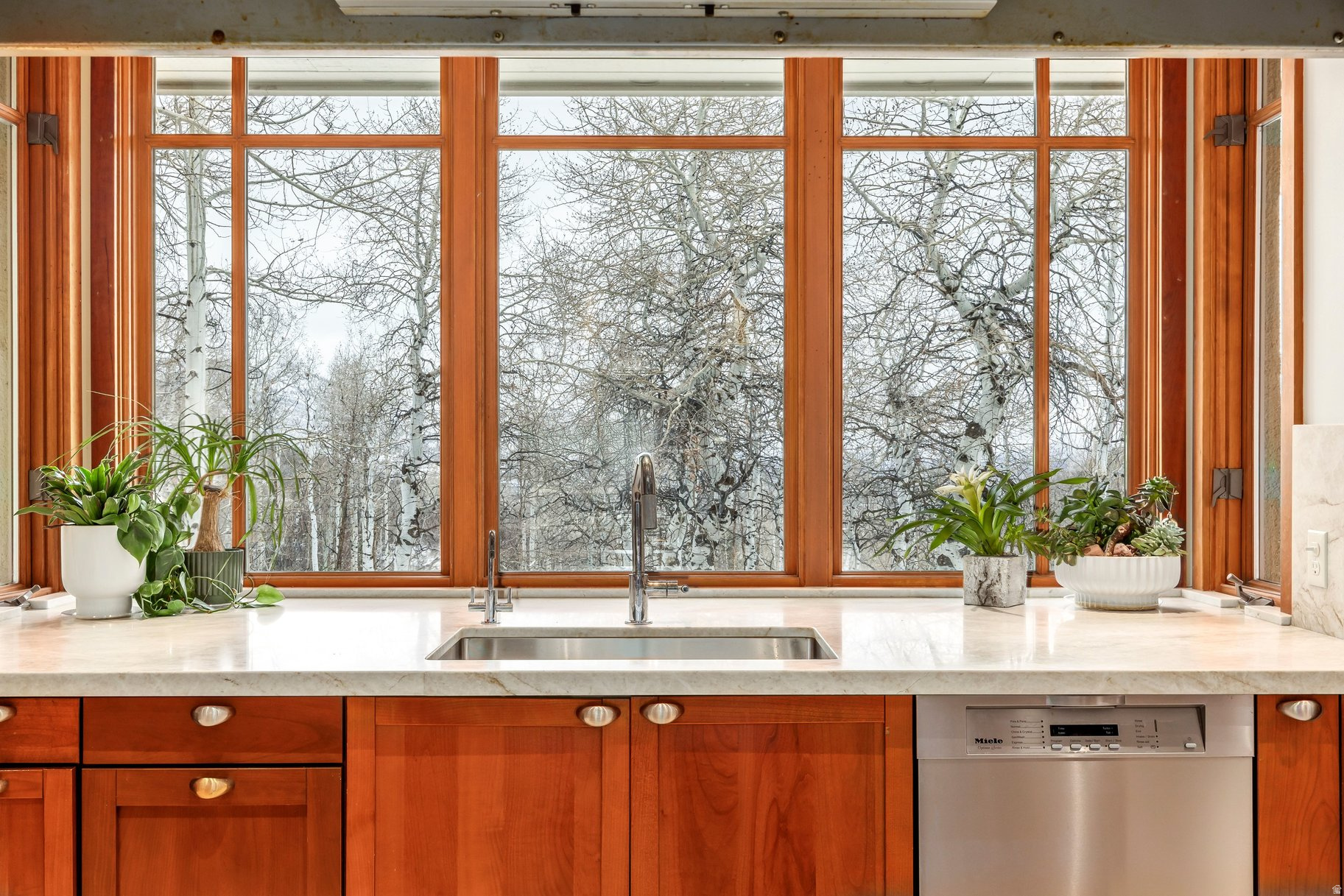 ASPEN SPRINGS RANCH - Residential