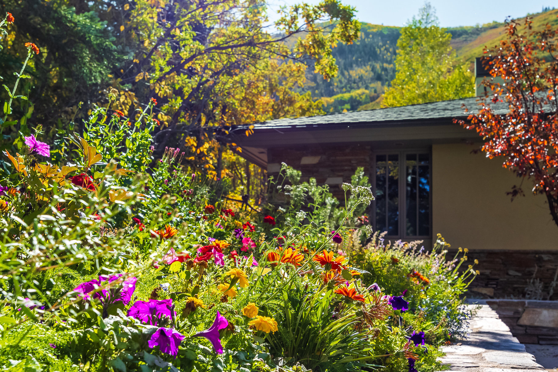 ASPEN SPRINGS RANCH - Residential
