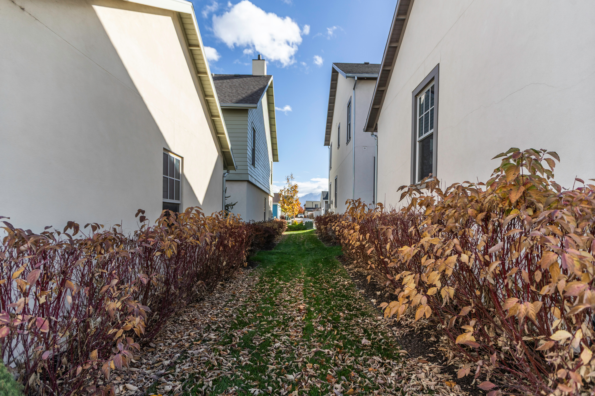 DAYBREAK - Residential