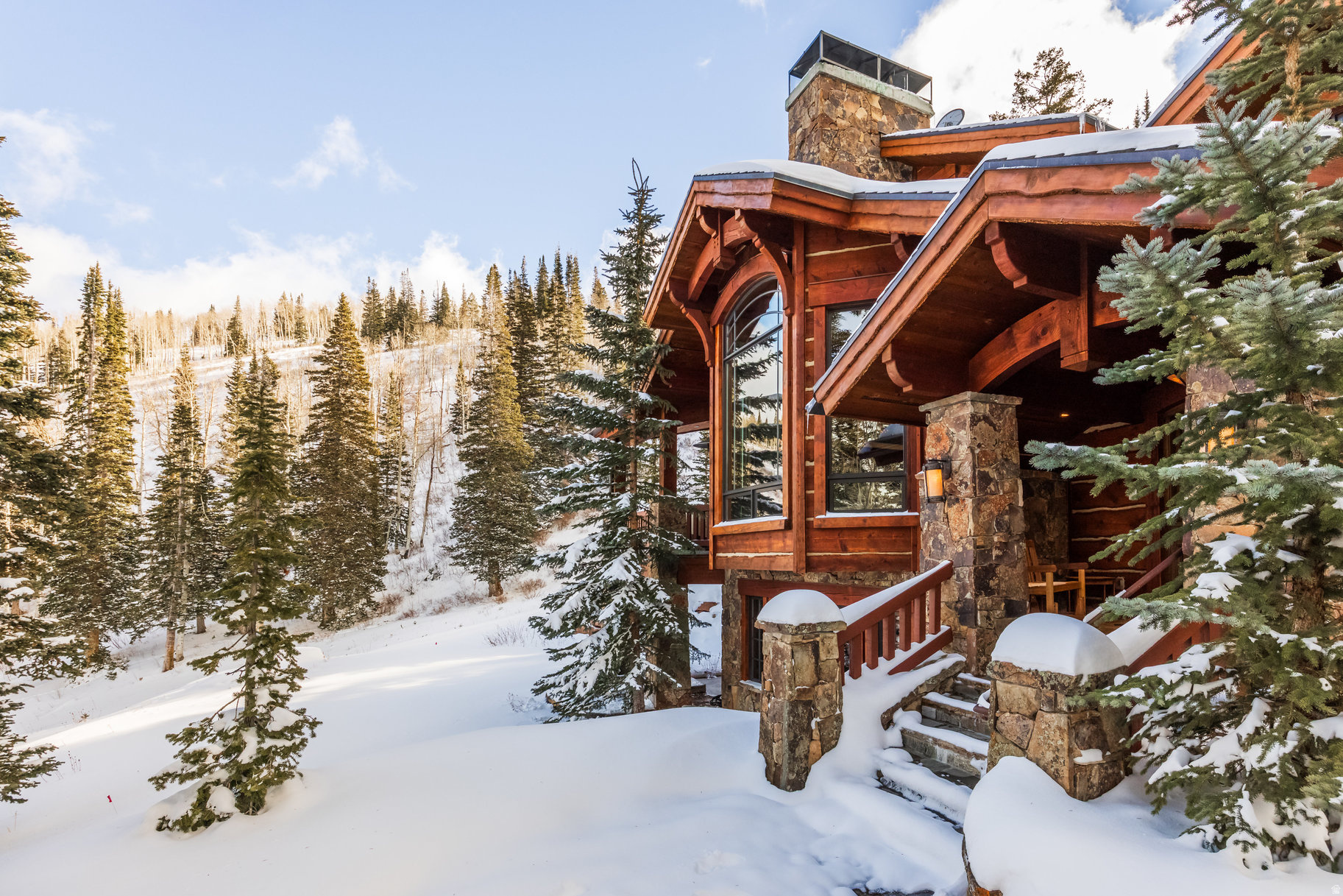 COLONY AT WHITE PINE - Residential