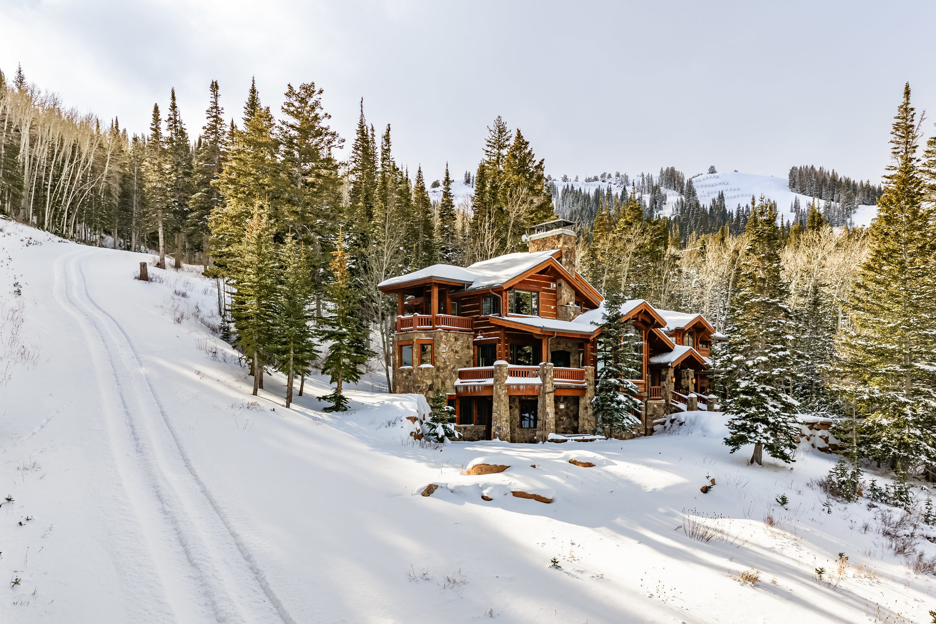 COLONY AT WHITE PINE - Residential