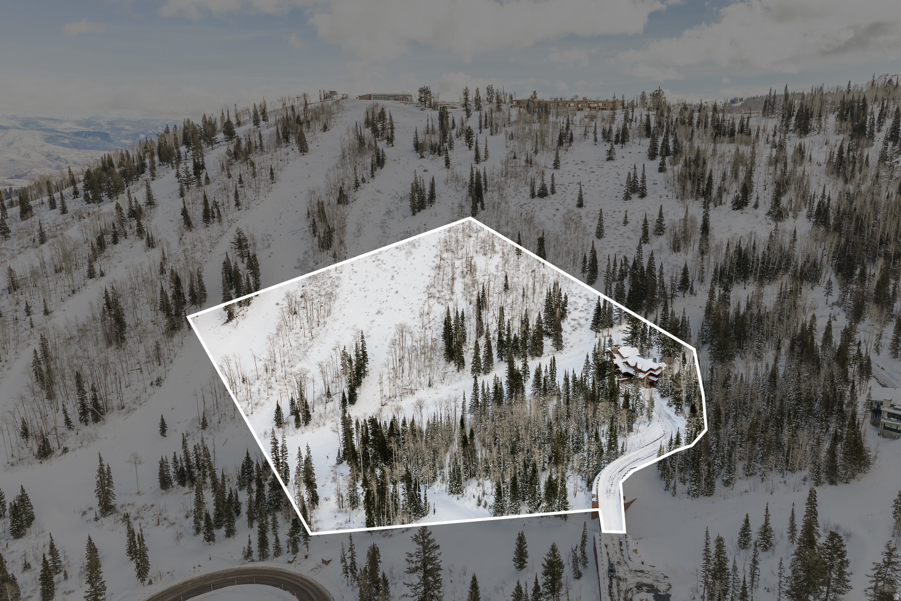 COLONY AT WHITE PINE - Residential