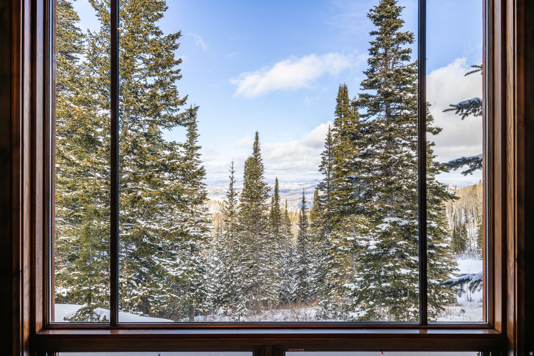 COLONY AT WHITE PINE - Residential