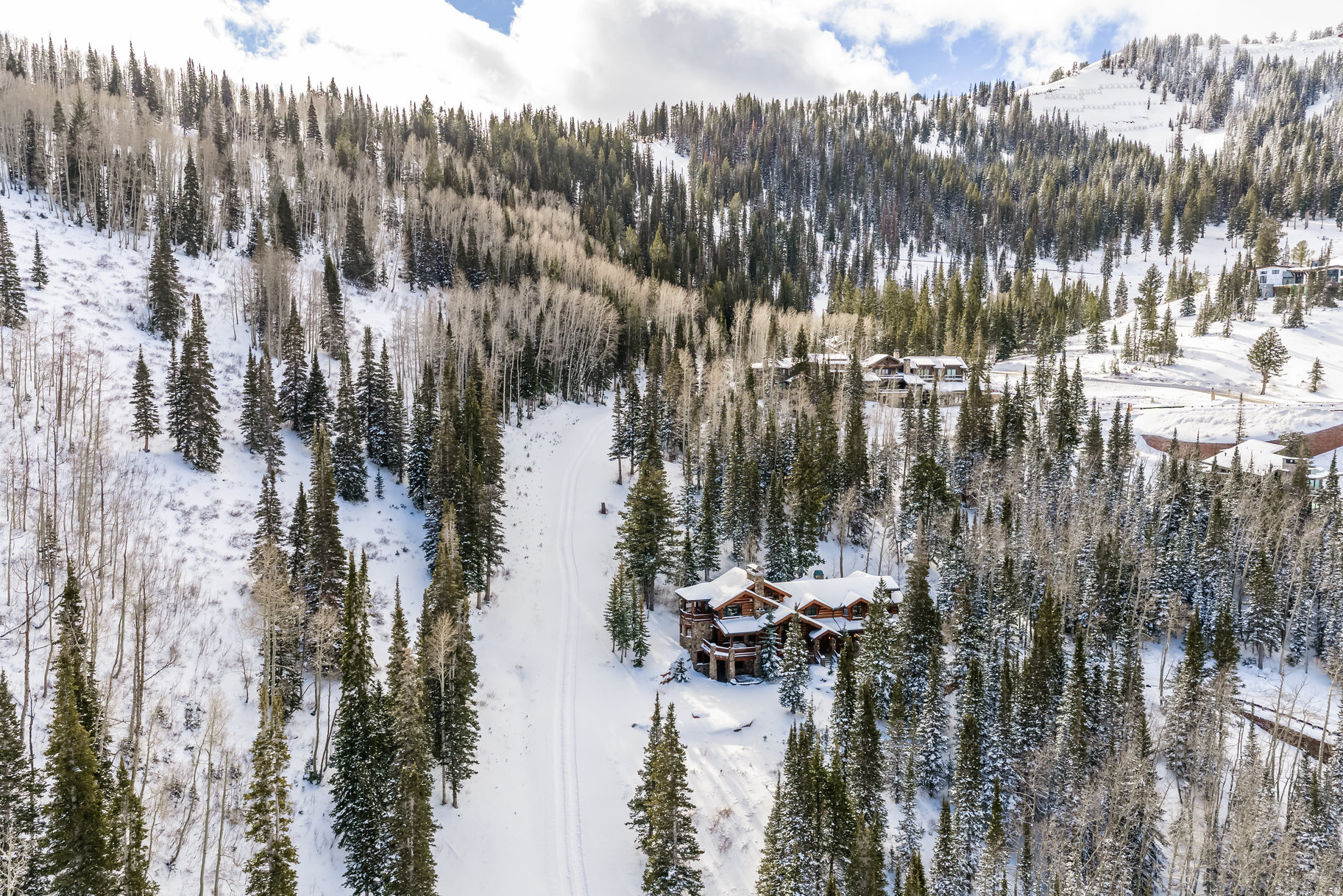 COLONY AT WHITE PINE - Residential