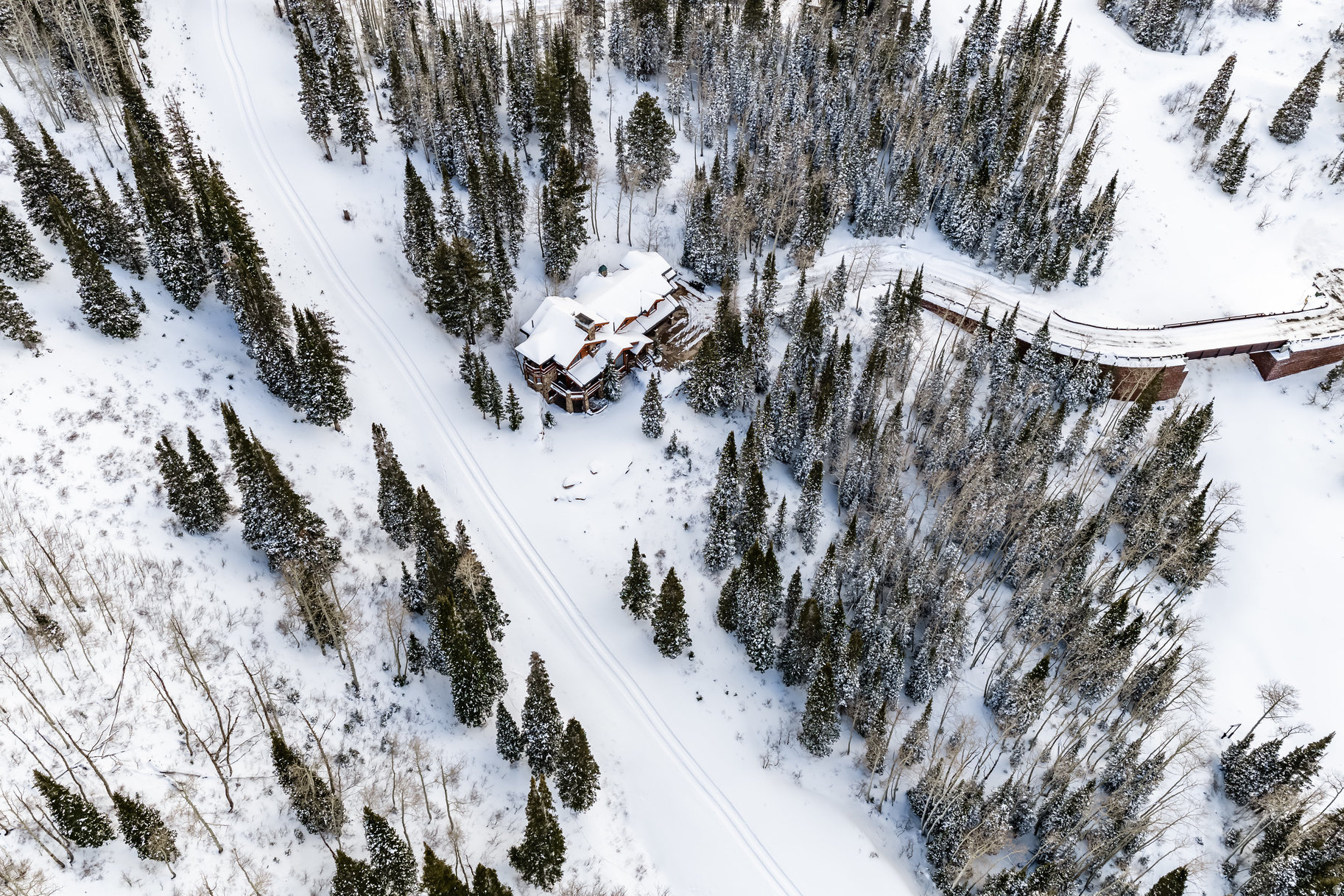 COLONY AT WHITE PINE - Residential