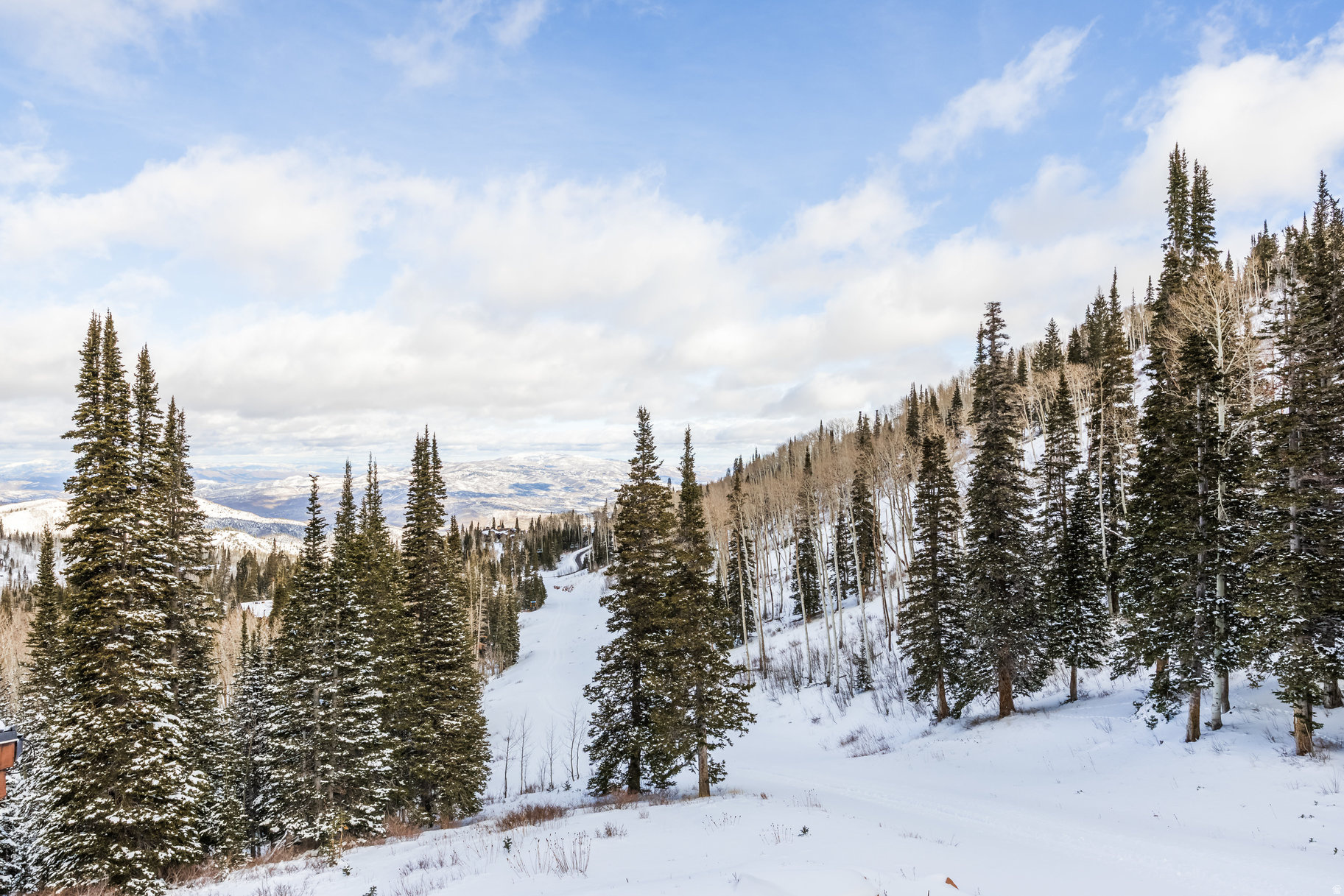 COLONY AT WHITE PINE - Residential