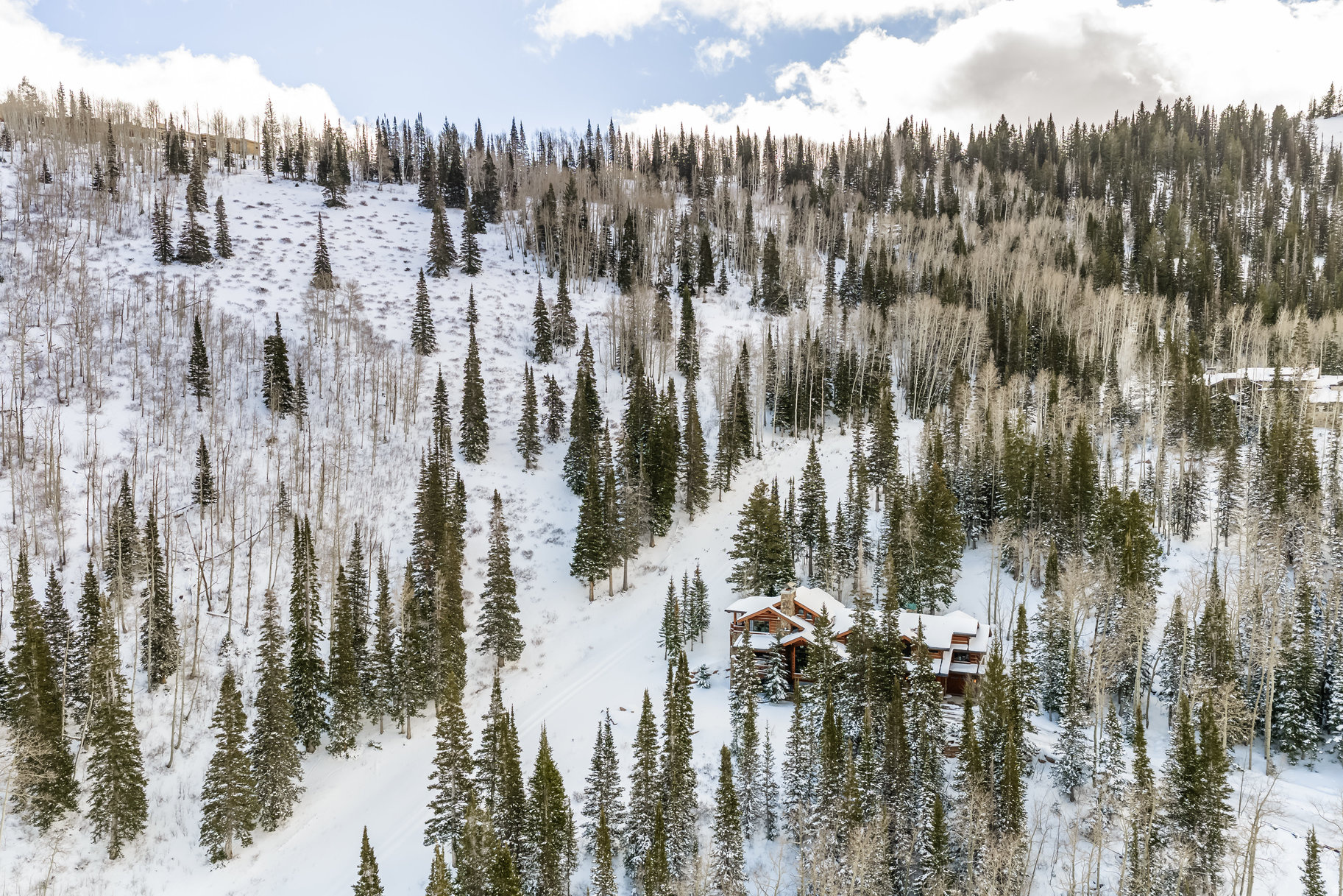 COLONY AT WHITE PINE - Residential