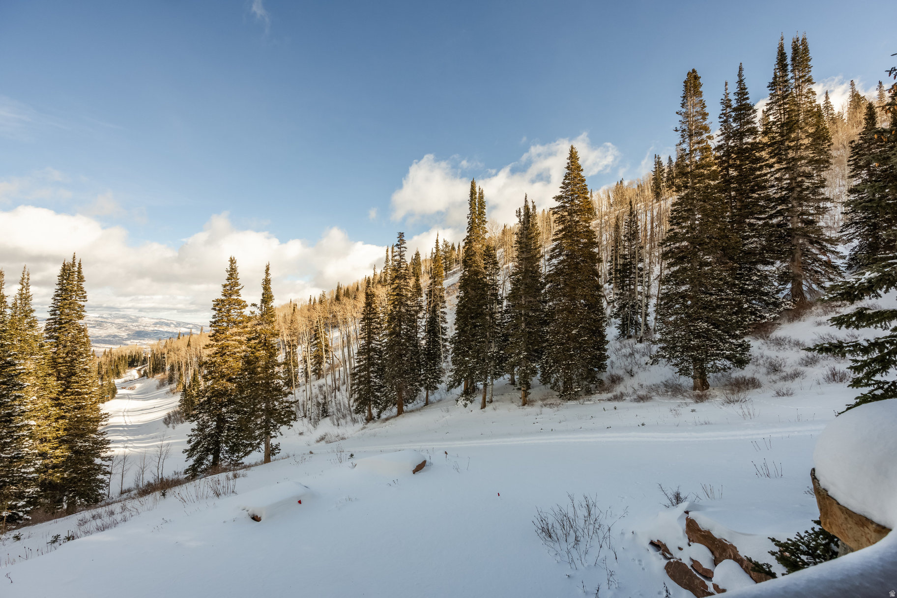 COLONY AT WHITE PINE - Residential