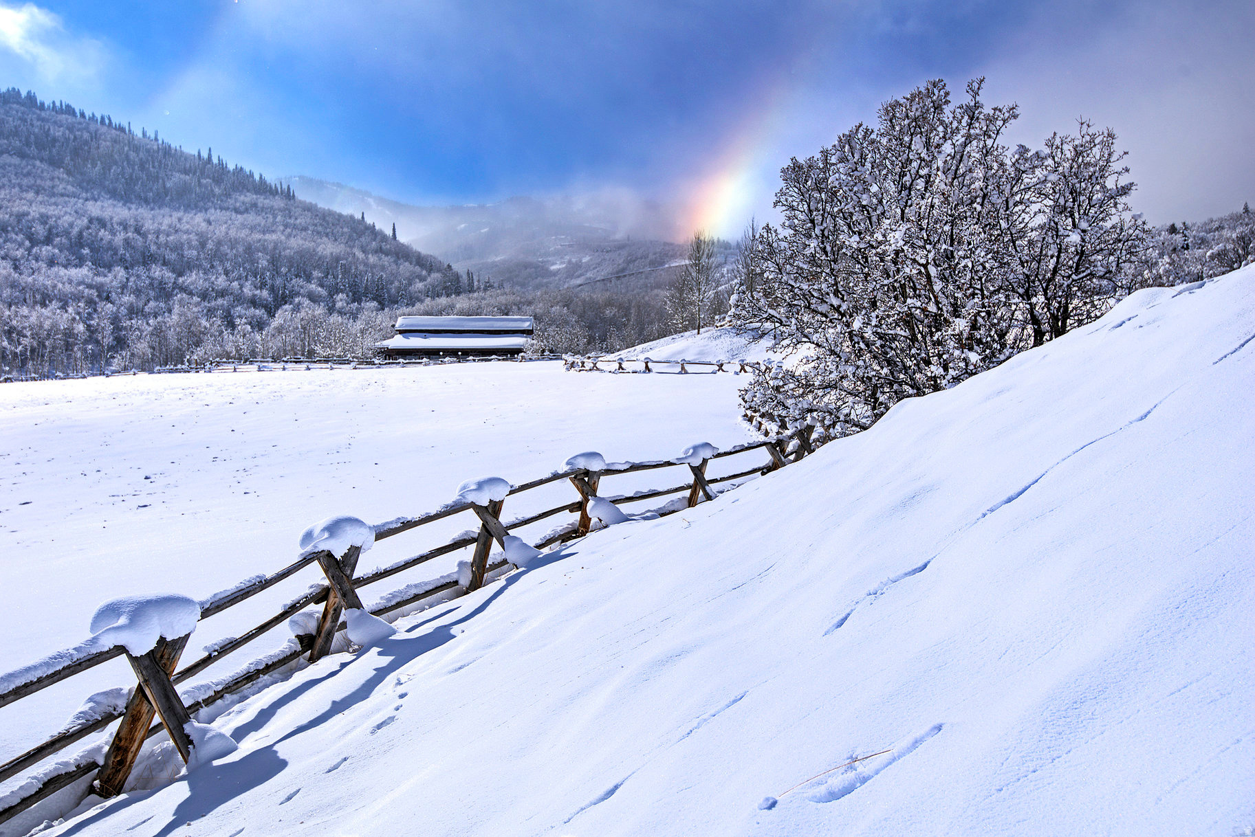 COLONY AT WHITE PINE - Residential