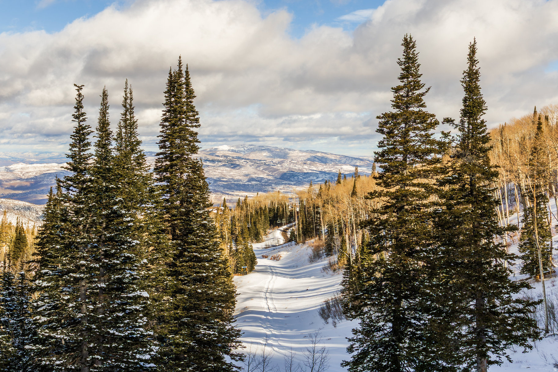 COLONY AT WHITE PINE - Residential