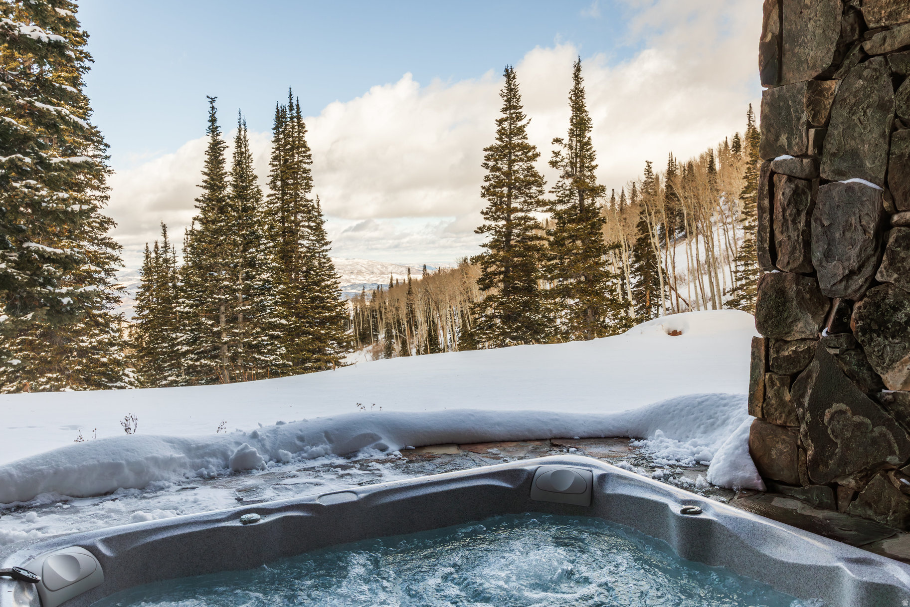 COLONY AT WHITE PINE - Residential