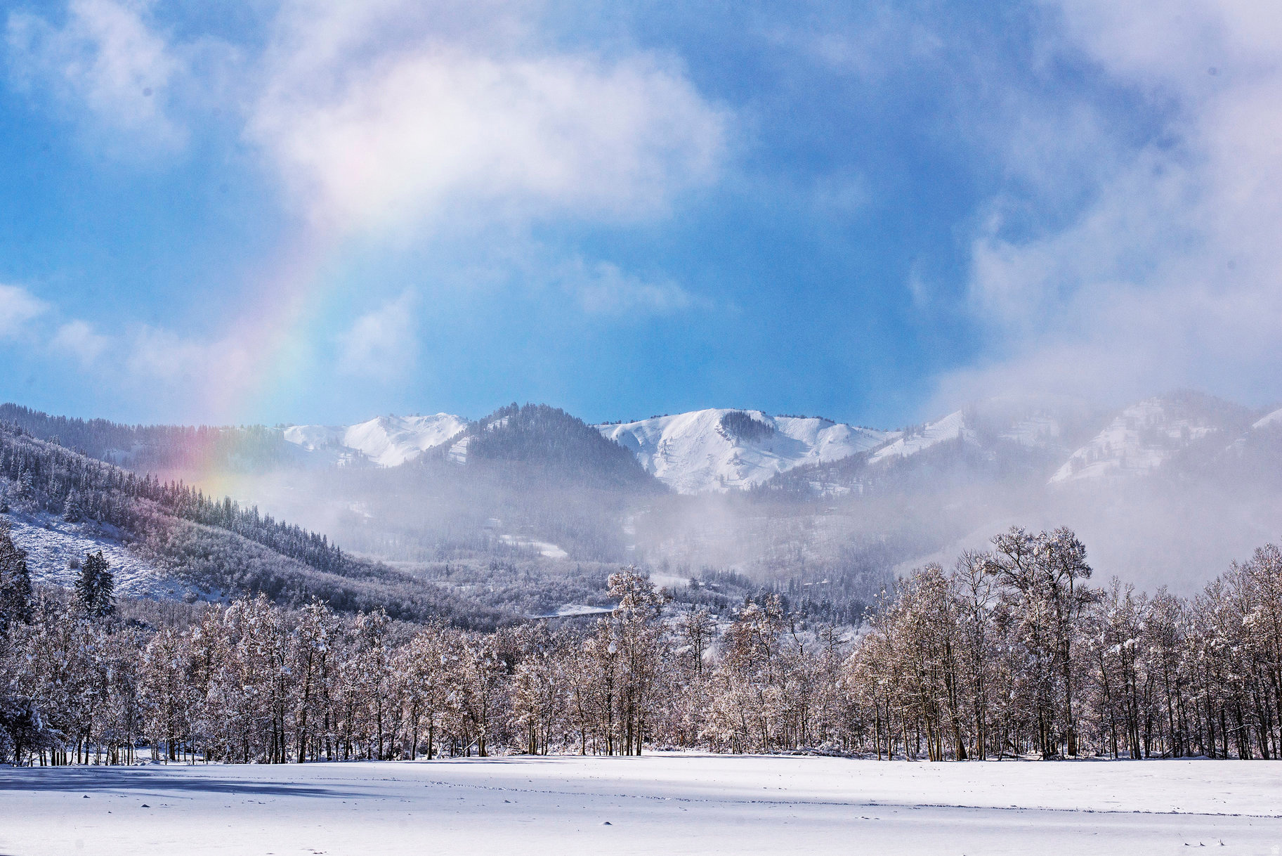 COLONY AT WHITE PINE - Residential
