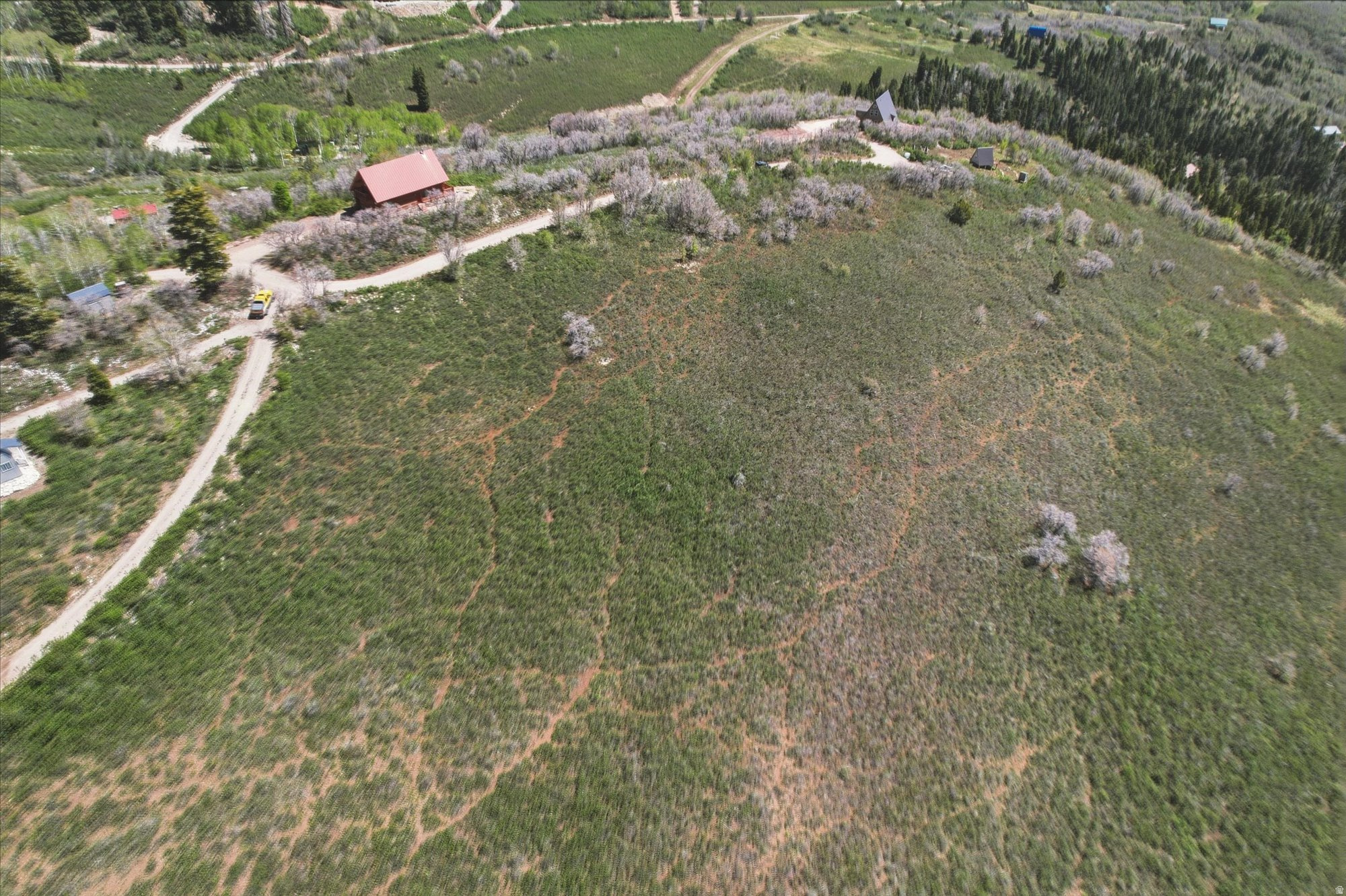 SKYLINE MOUNTAIN RESORT - Land