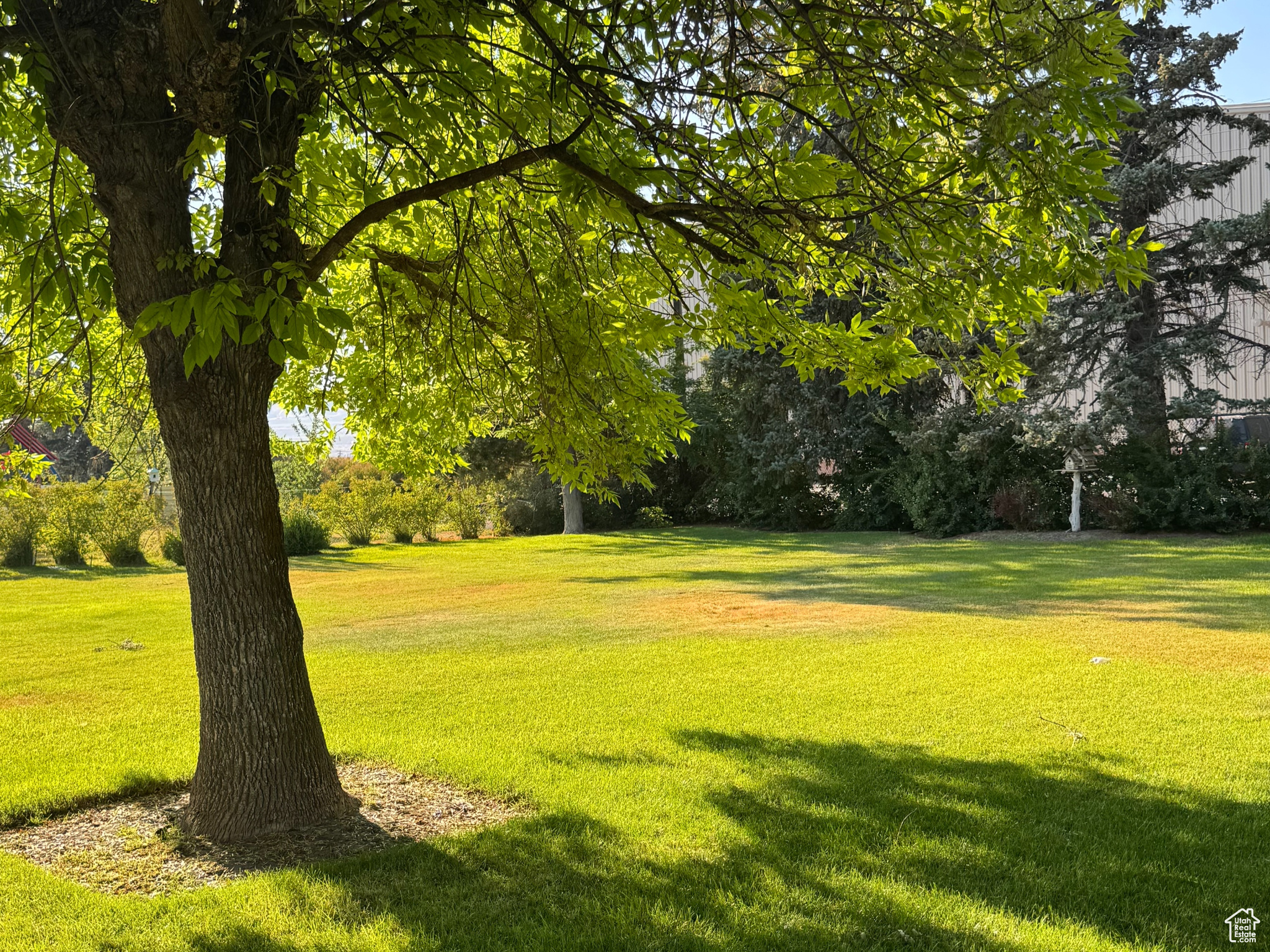 ORCHARD - Residential