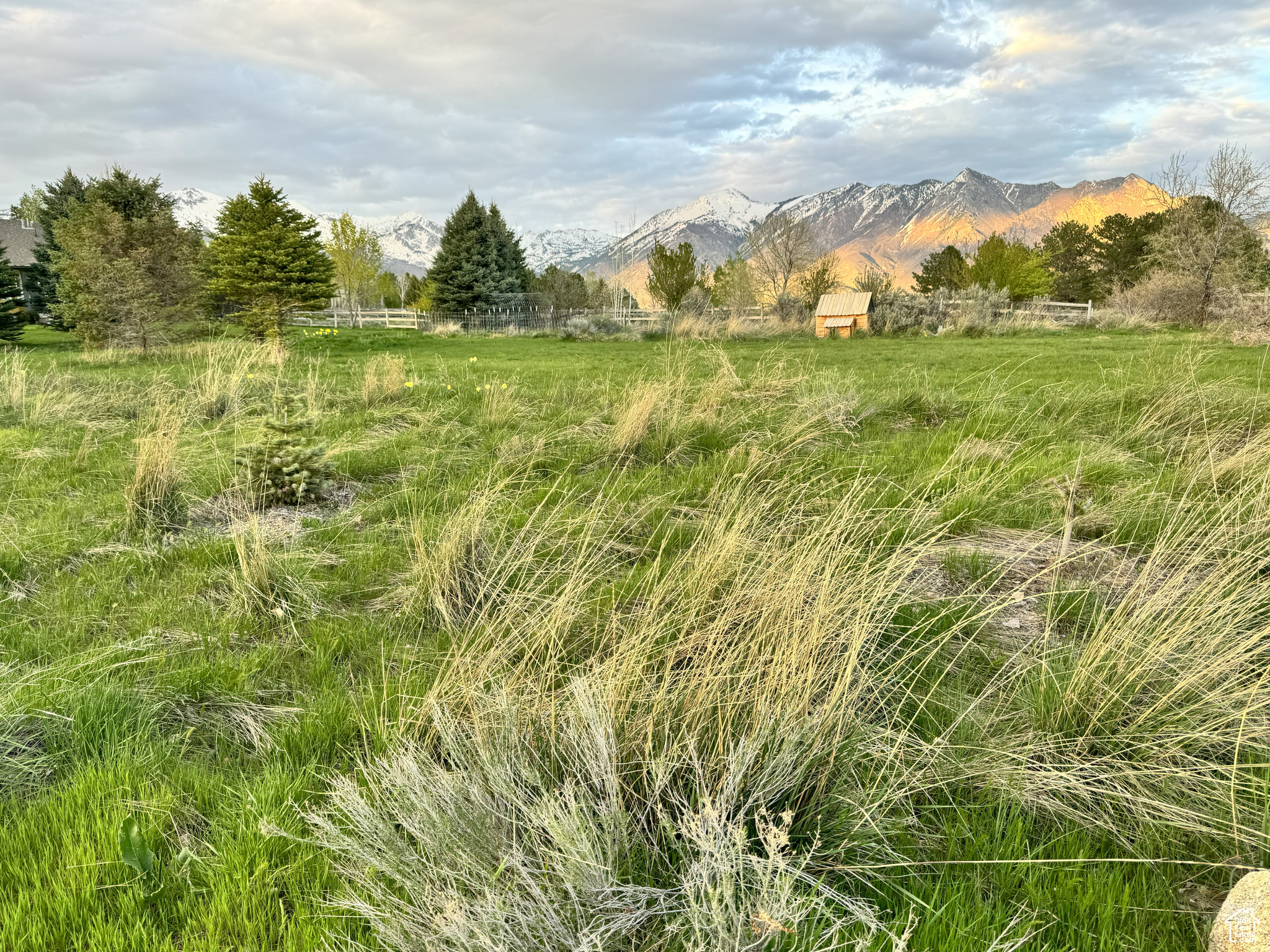 11148 N Sunflower Dr, Highland, Utah image 9