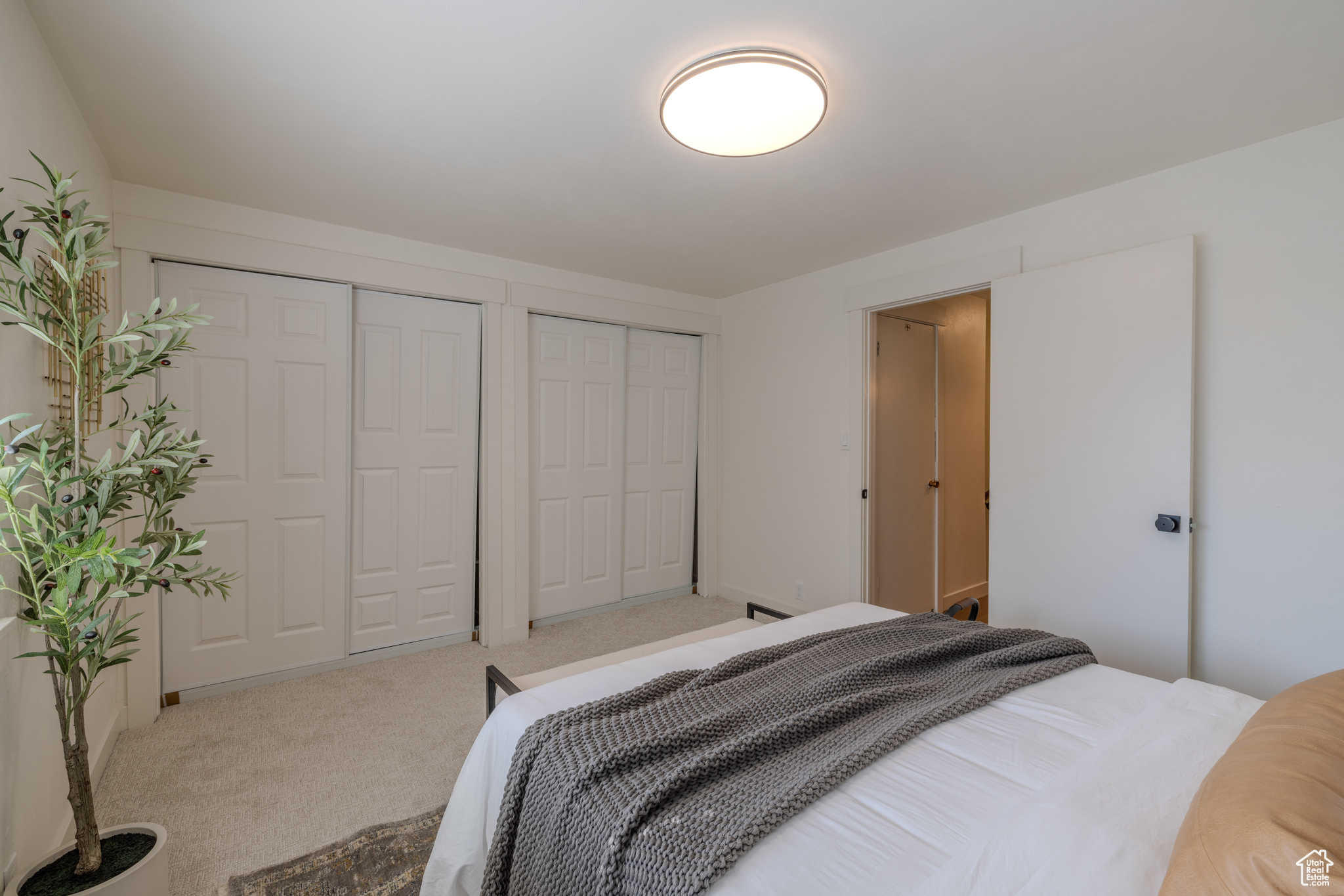WILLOWTREE - Residential