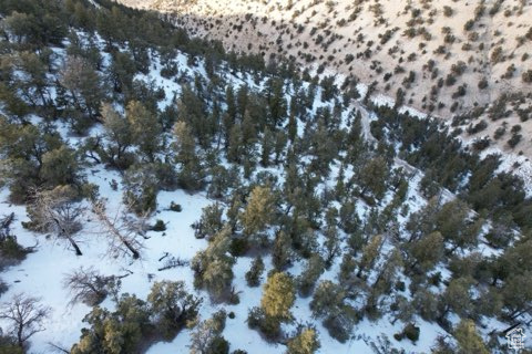 Land, Roosevelt, Utah image 2